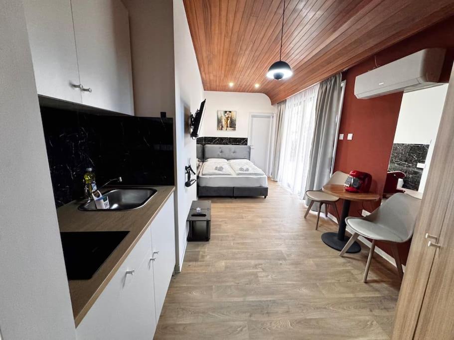 Modern Studio N1 private Kitchenette and Bathroom