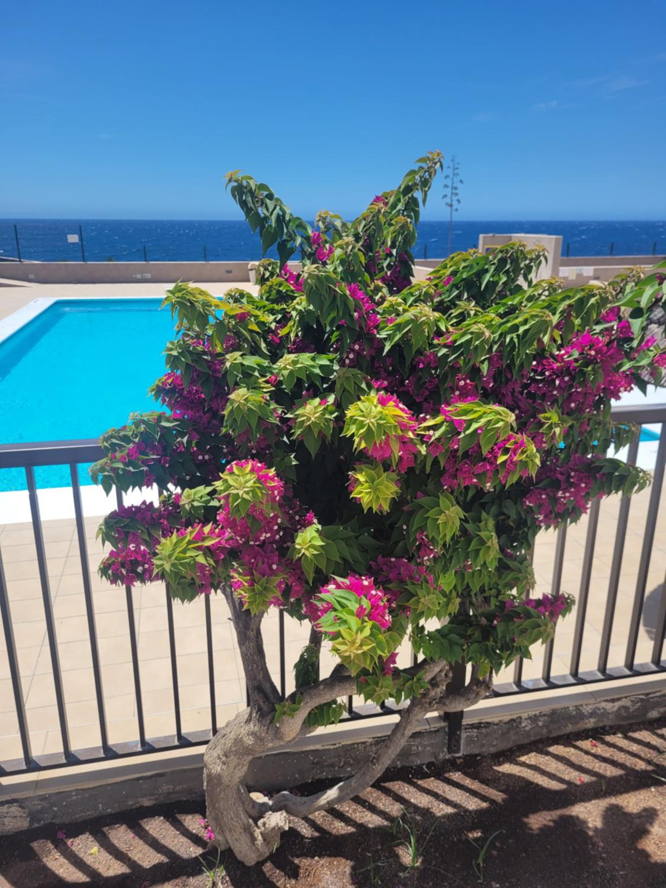 Atlantic View Tenerife South