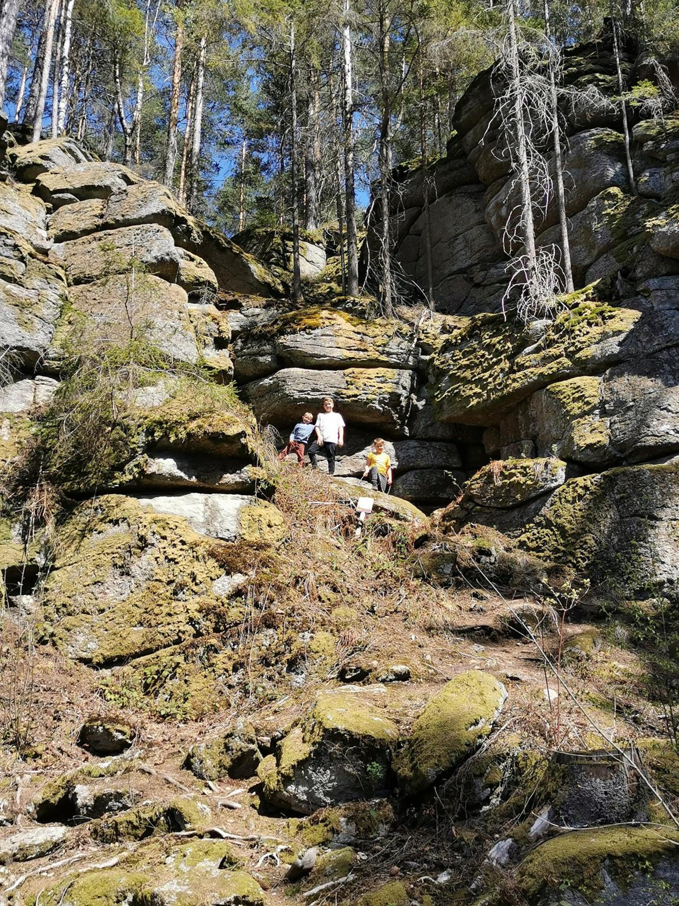 Kindererlebnis- und Biobauernhof Hipp-Bruckner