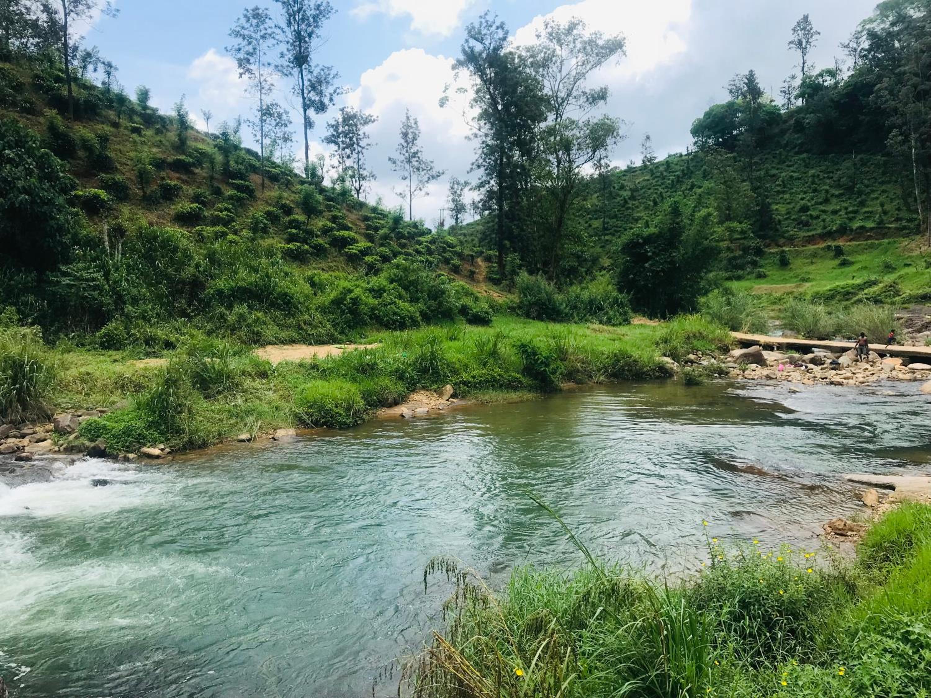 Singing River Nature Adventure