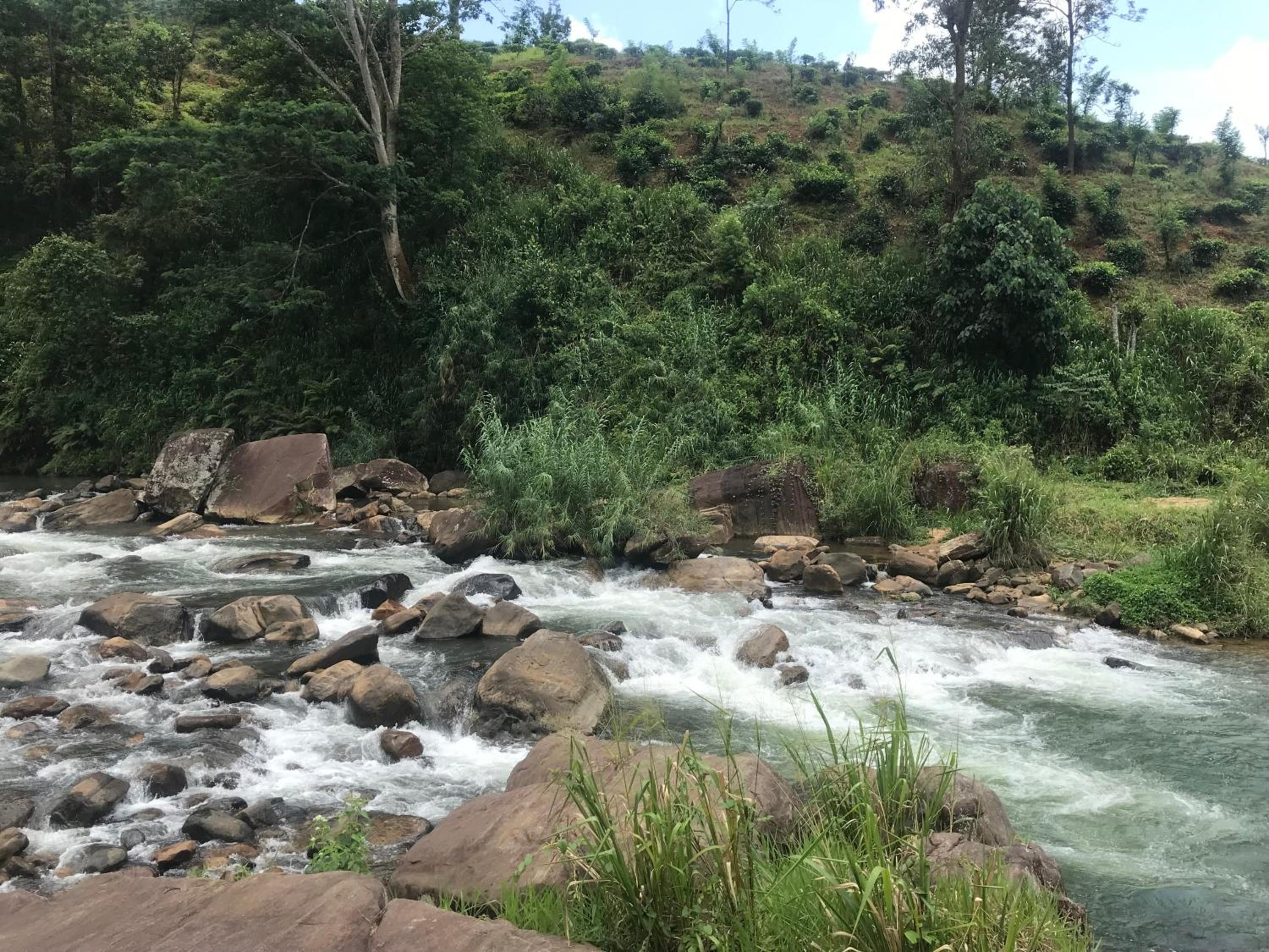 Singing River Nature Adventure