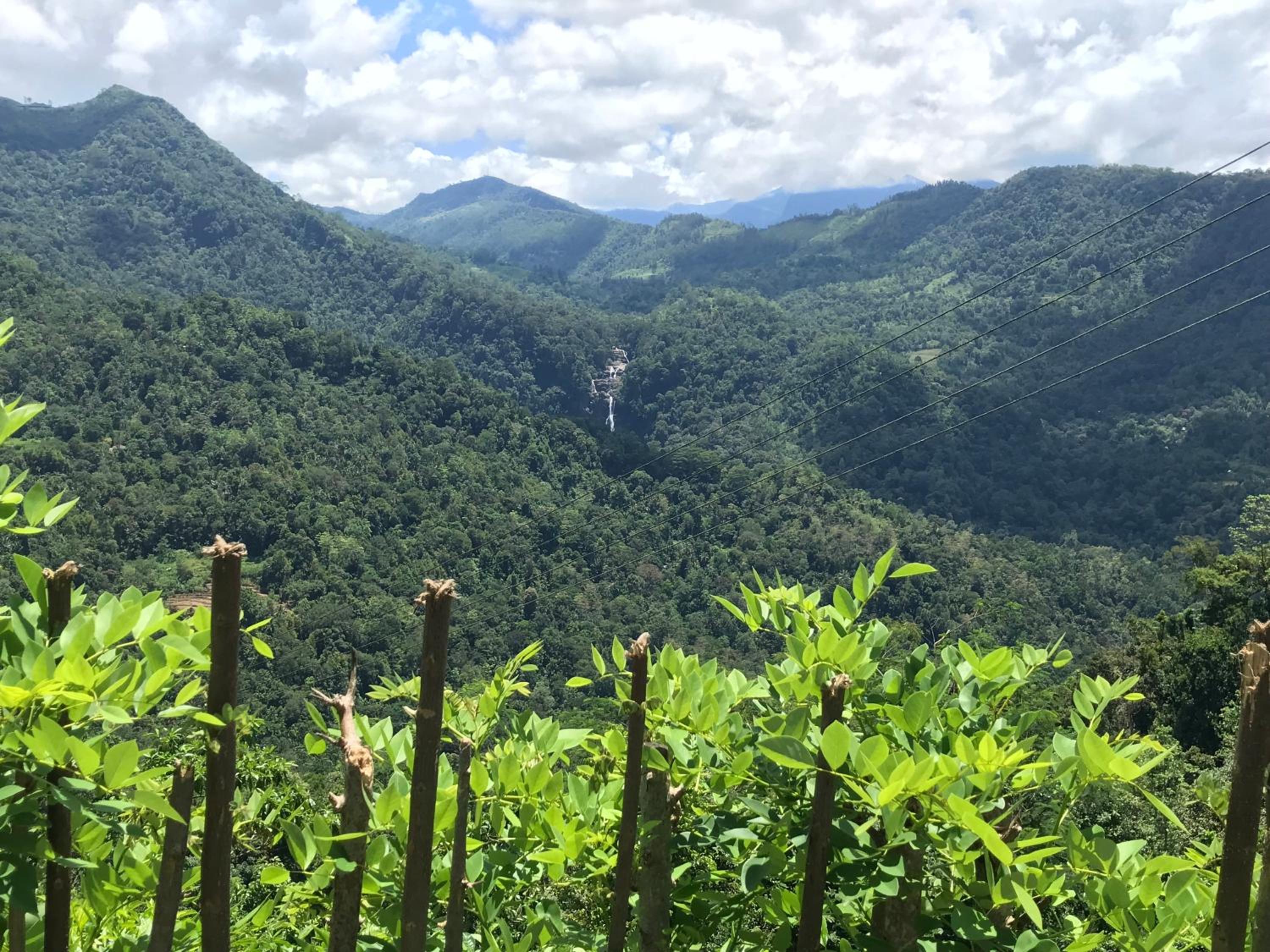 Singing River Nature Adventure