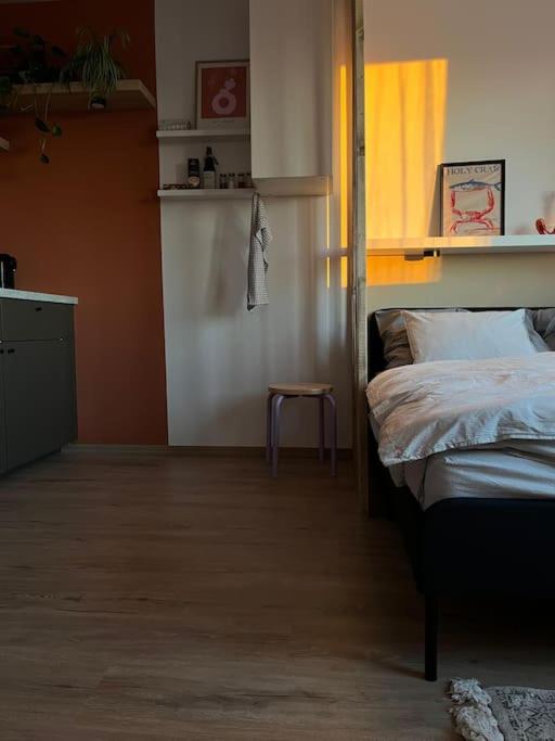 Small cozy apartment, coffee and parking free