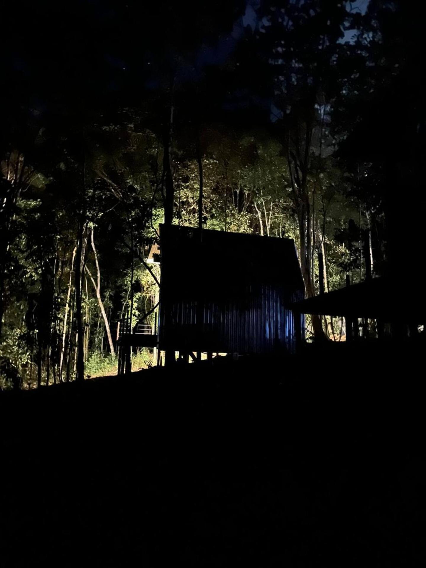 Itacaré Ecolodge - Experiencia de Imersão na Mata Atlântica