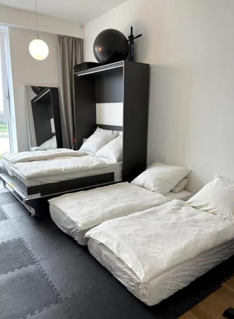 Rheinblick Penthouse