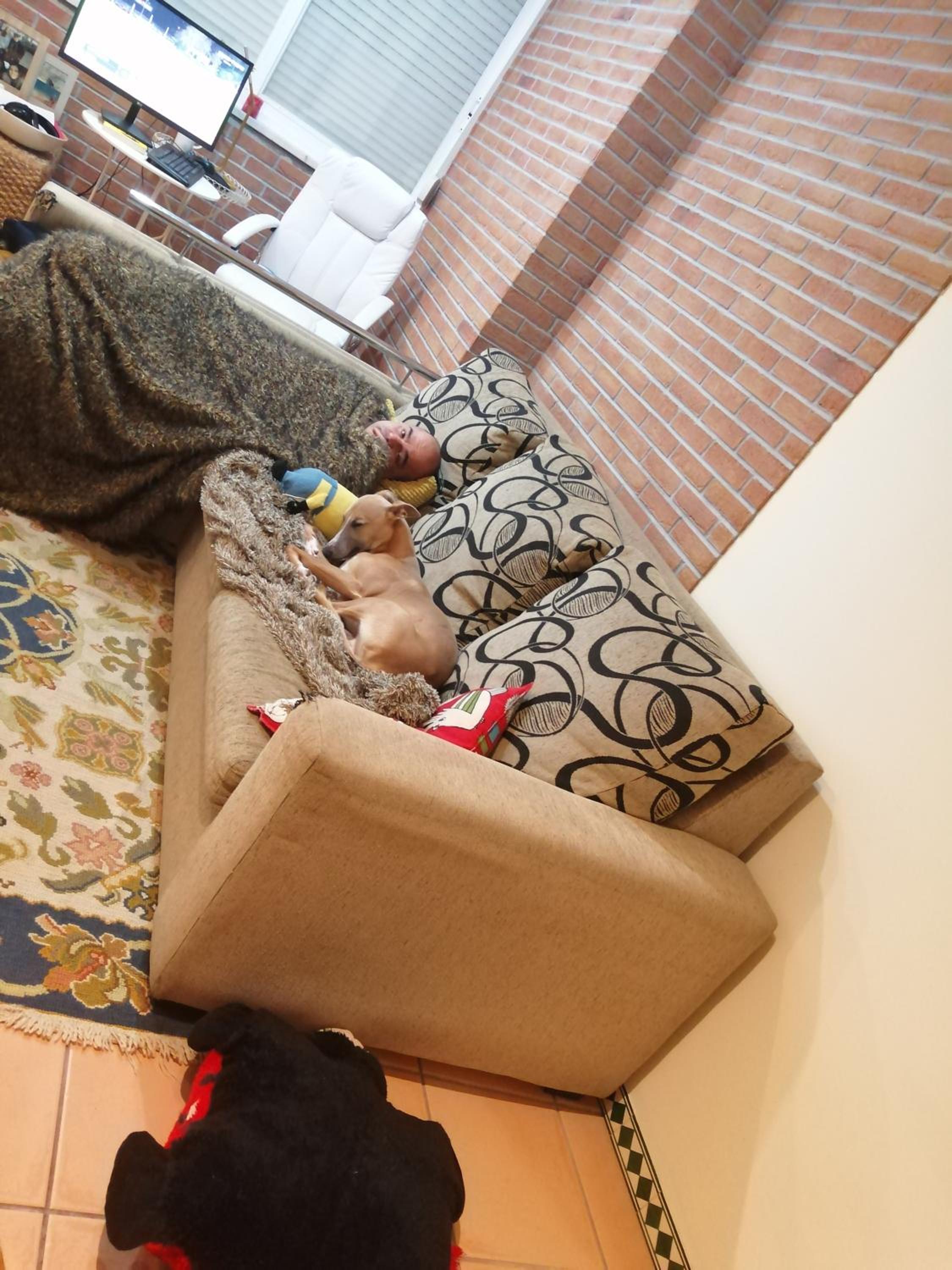 Olívia Oeiras Apartament
