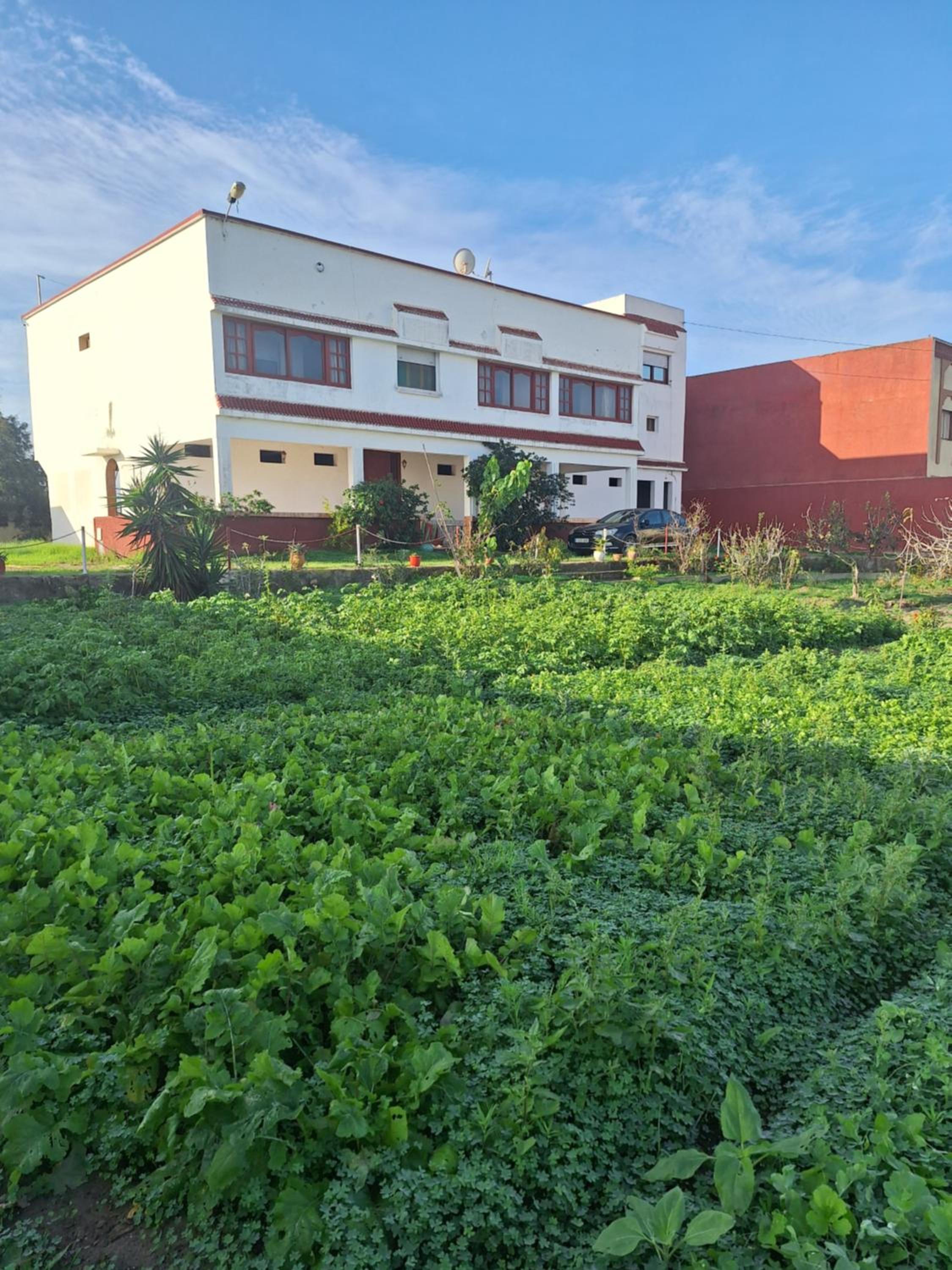 building