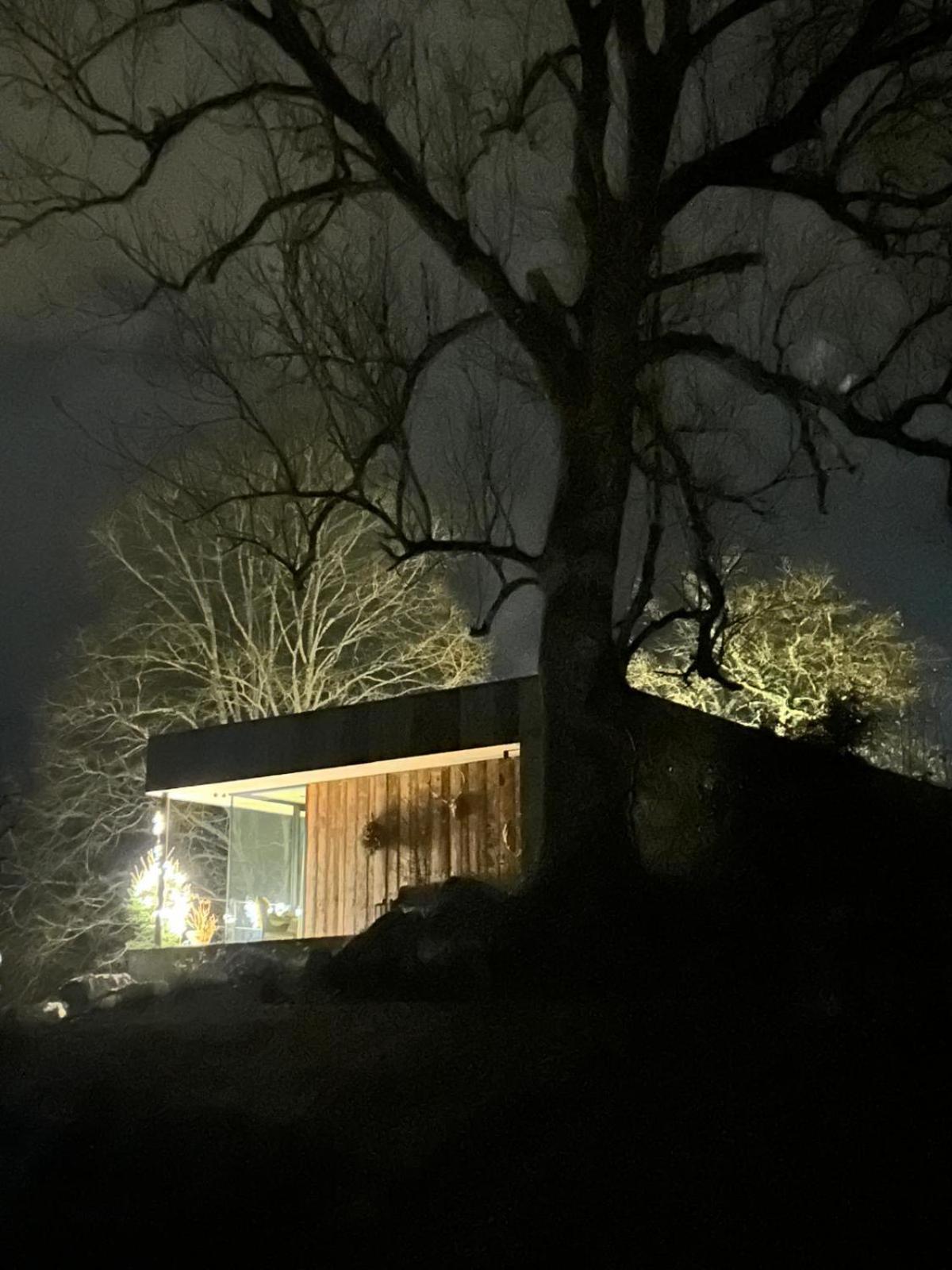 Slow Refuge