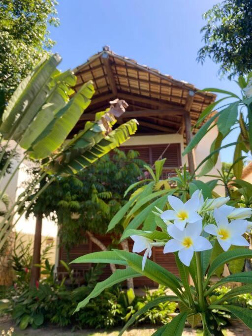 Zenporcentohouse marau