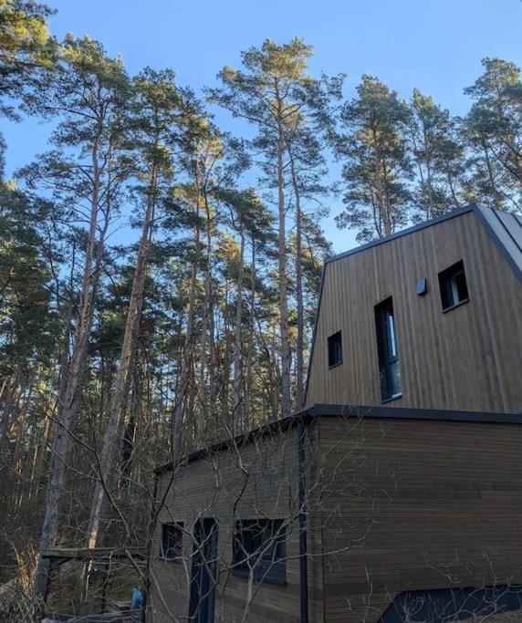 Waldvilla mit Tiny House im Küstenwald