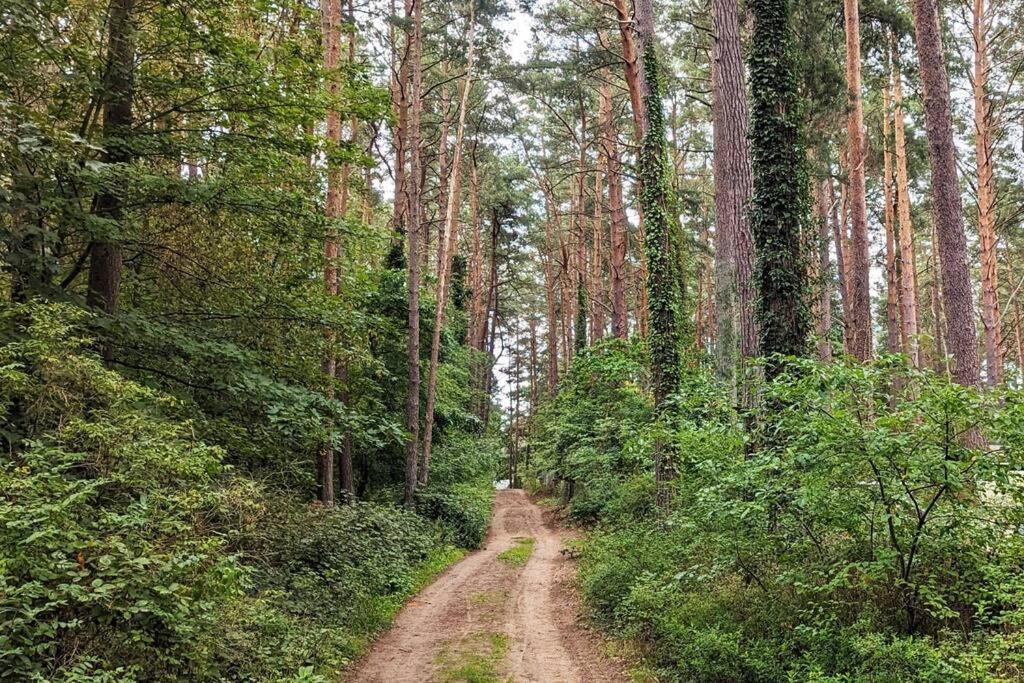 Waldvilla mit Tiny House im Küstenwald