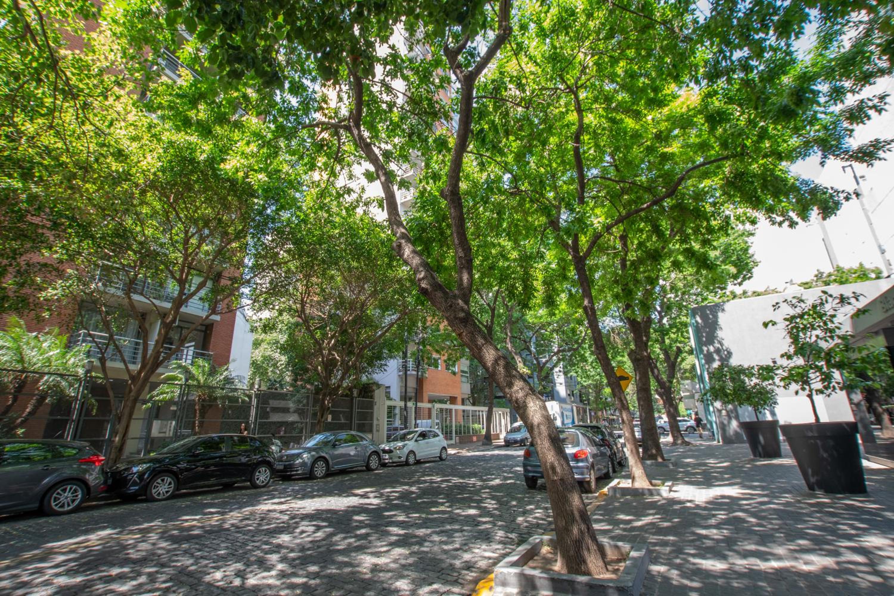 Attico Juncal