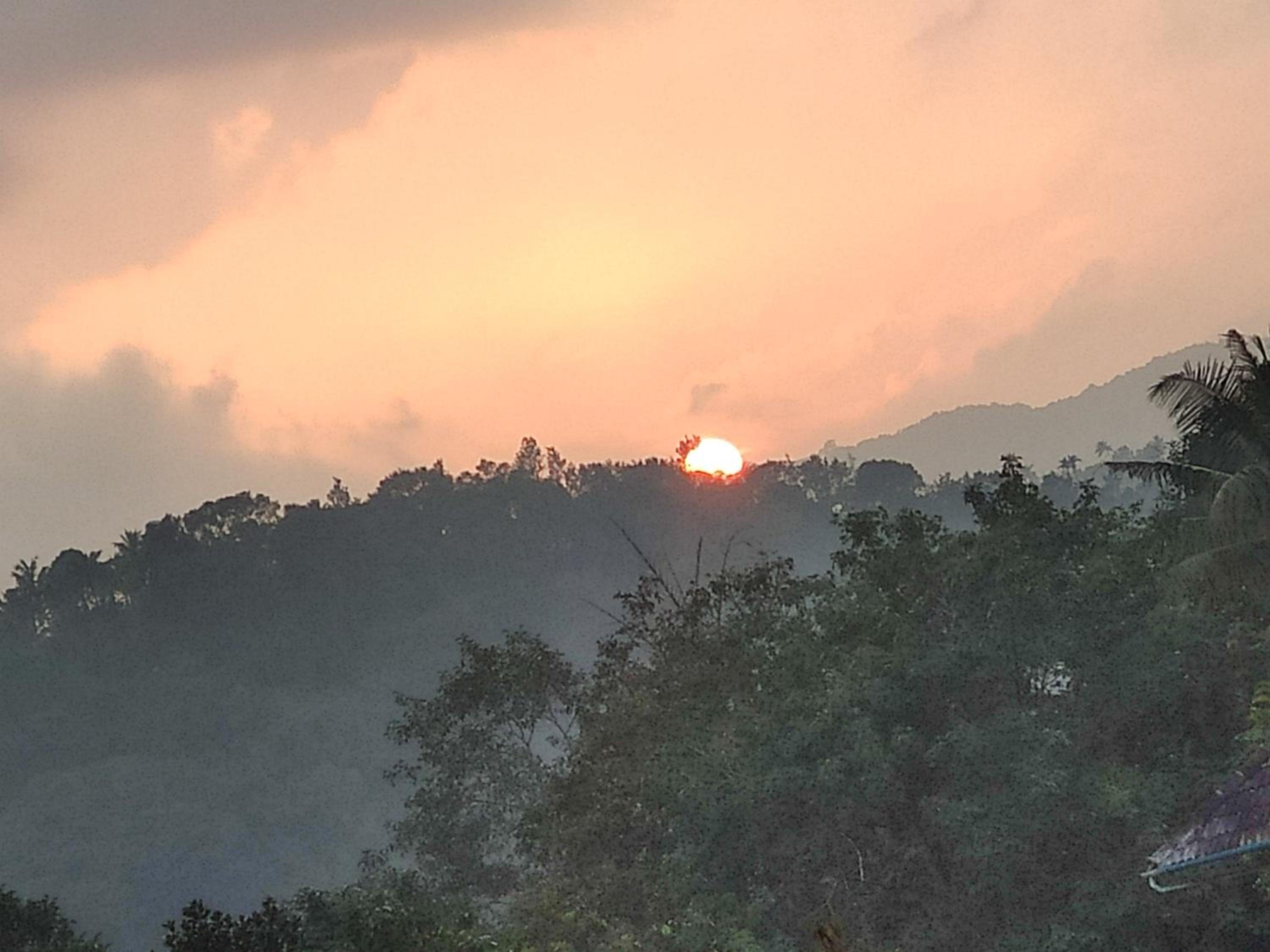 Soly's Villa Homestay view 5