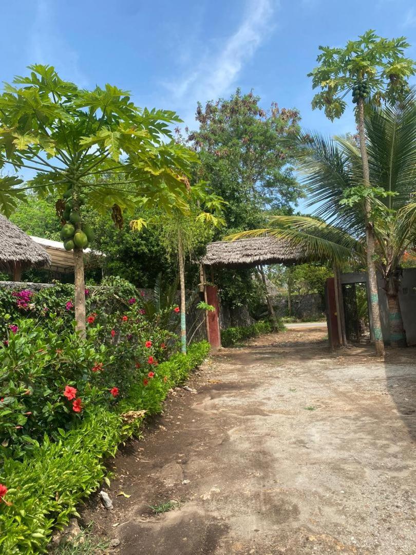 Zanzllywood Uroa Beach Suites Hotel Apartment view 3