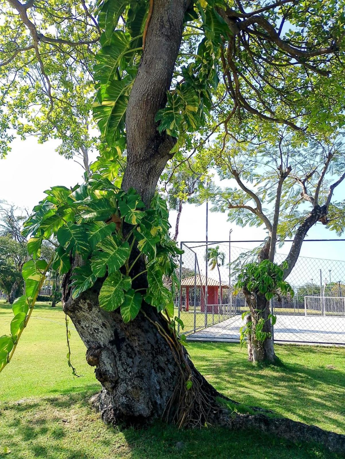 Kitnet minutos das praias lazer em clube