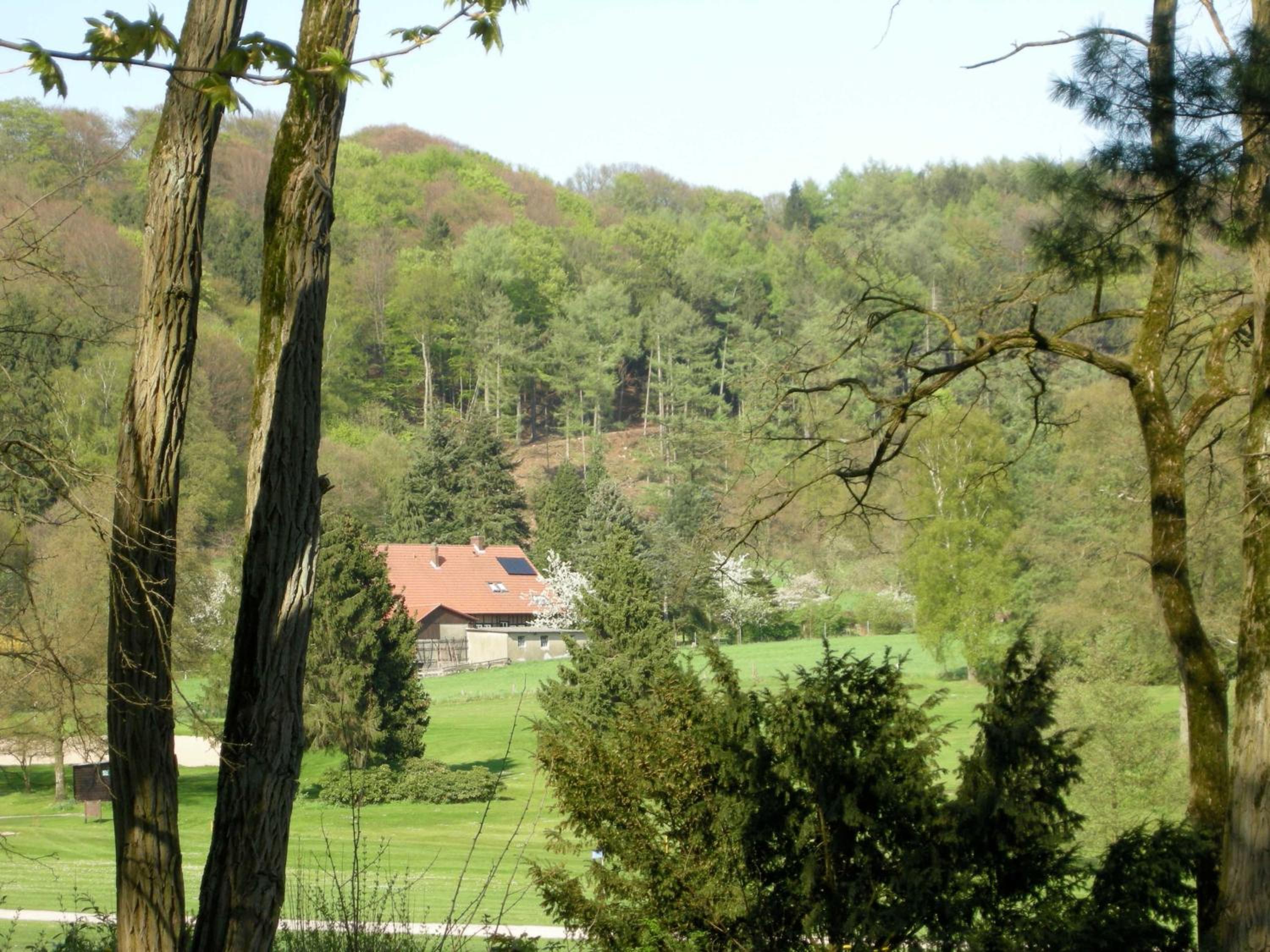 Ferienwohnung auf dem Golfplatz Tecklenburger Land