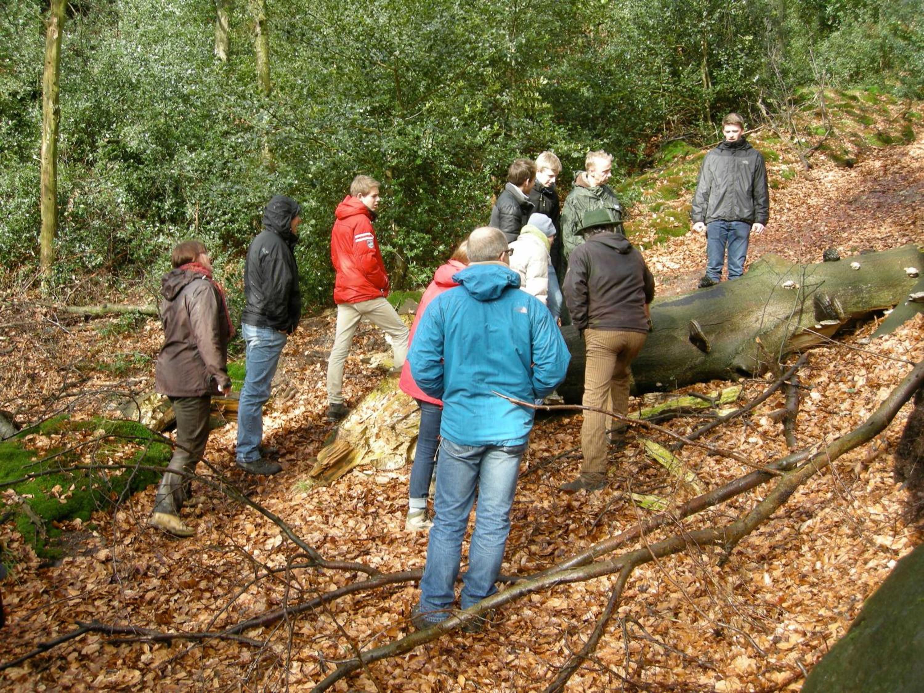 Ferienwohnung auf dem Golfplatz Tecklenburger Land