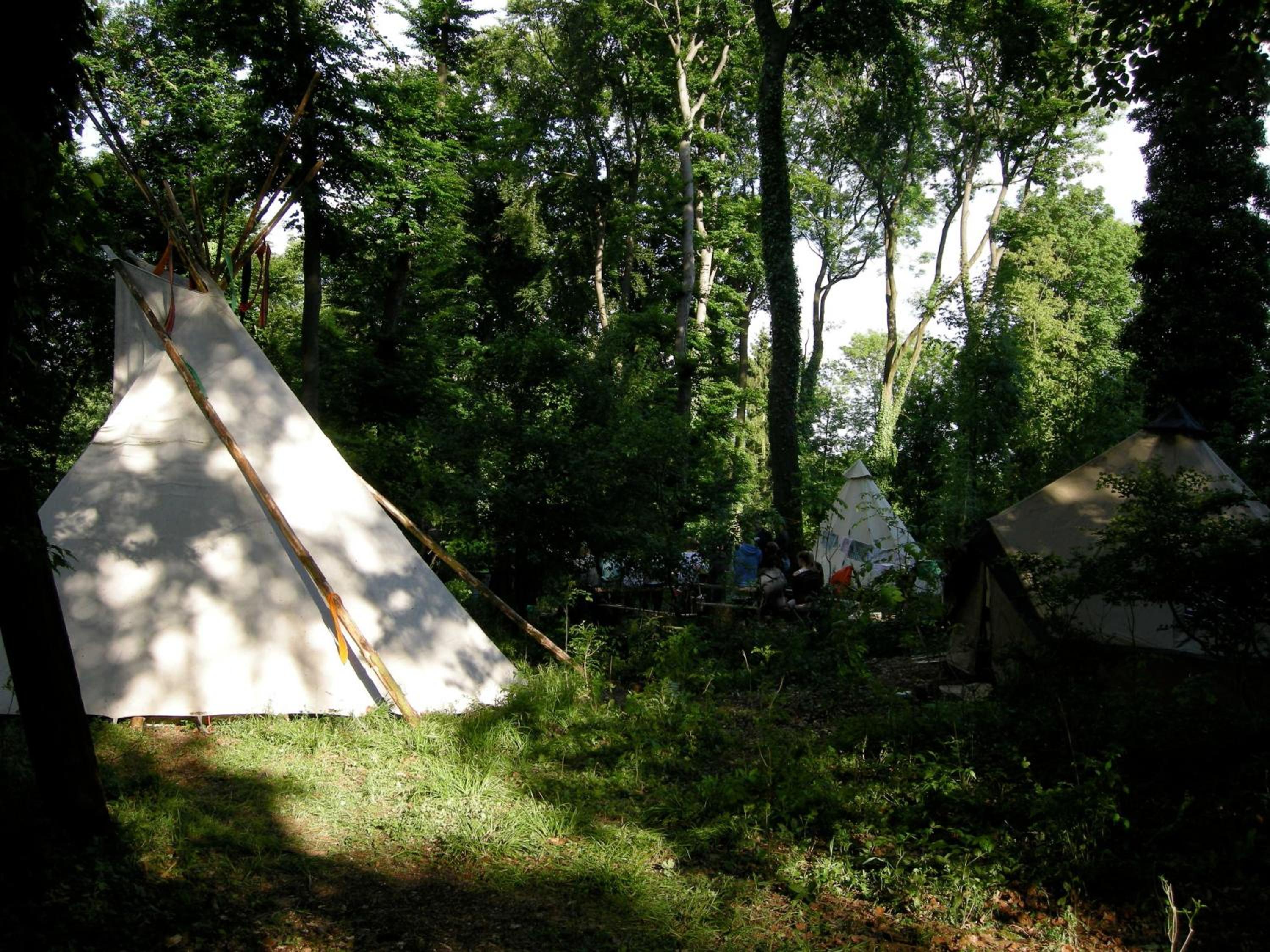 Ferienwohnung auf dem Golfplatz Tecklenburger Land