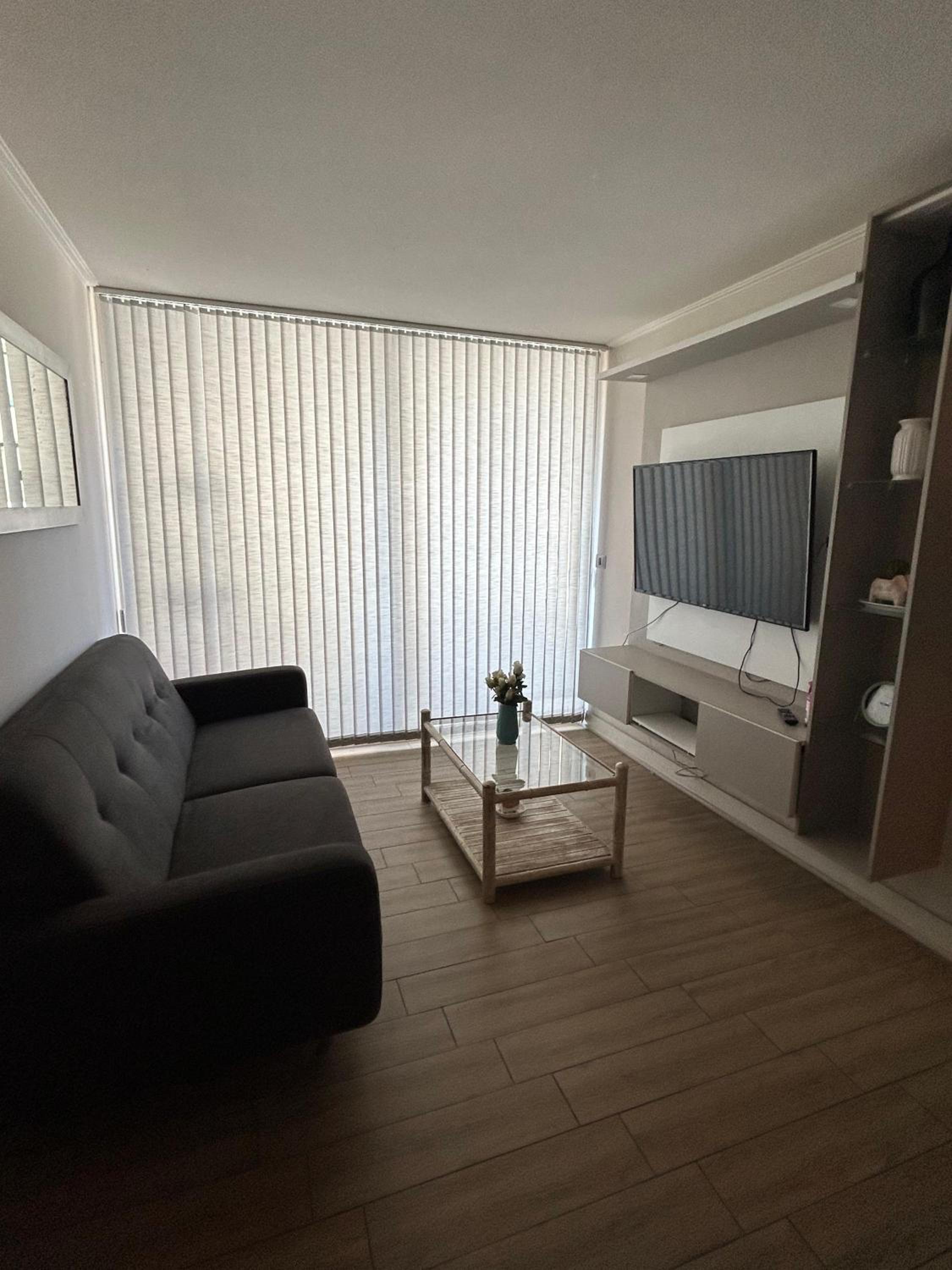Hermoso departamento en pleno centro de Viña