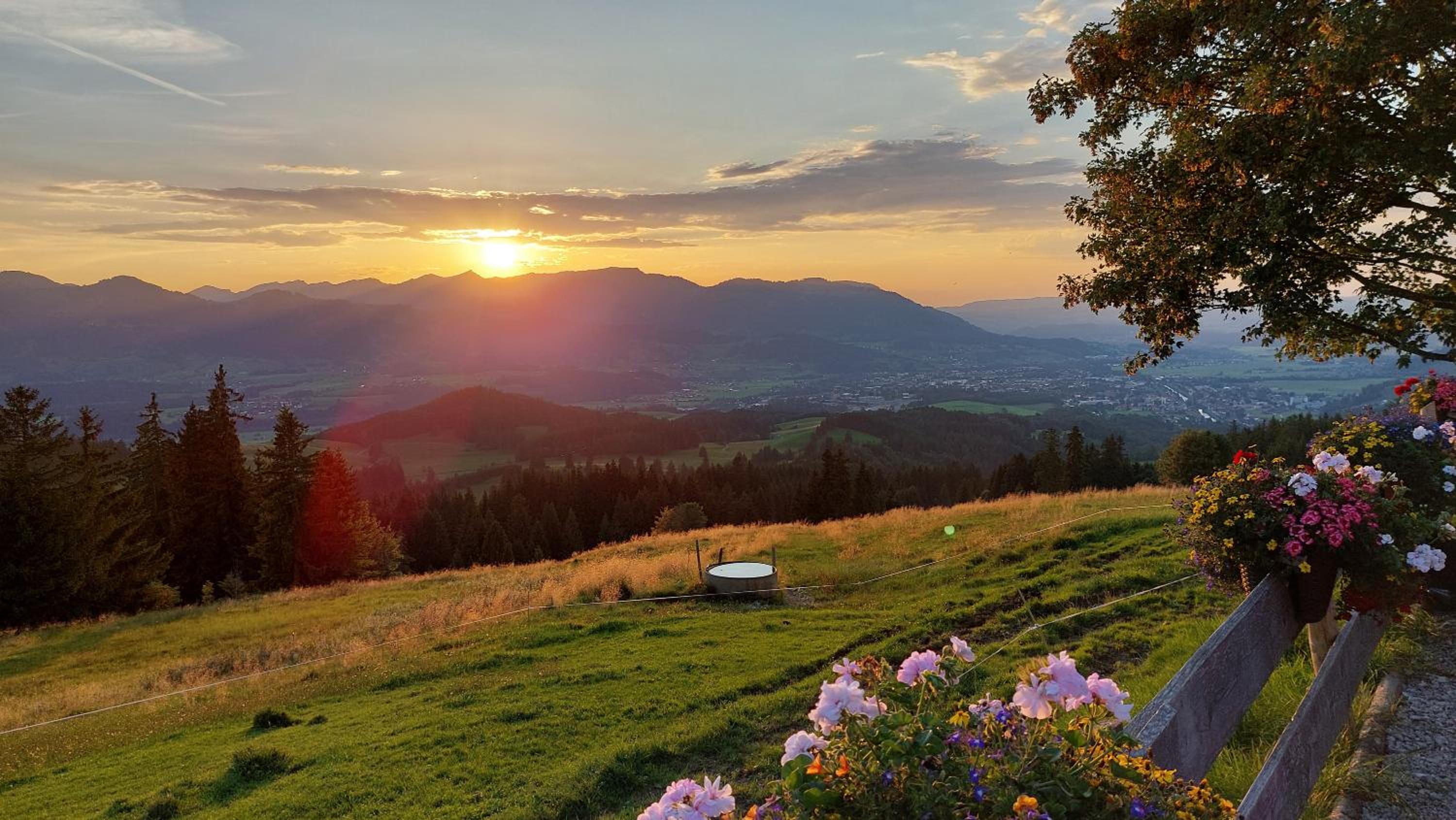 Ferienwohnung Alpenvogel