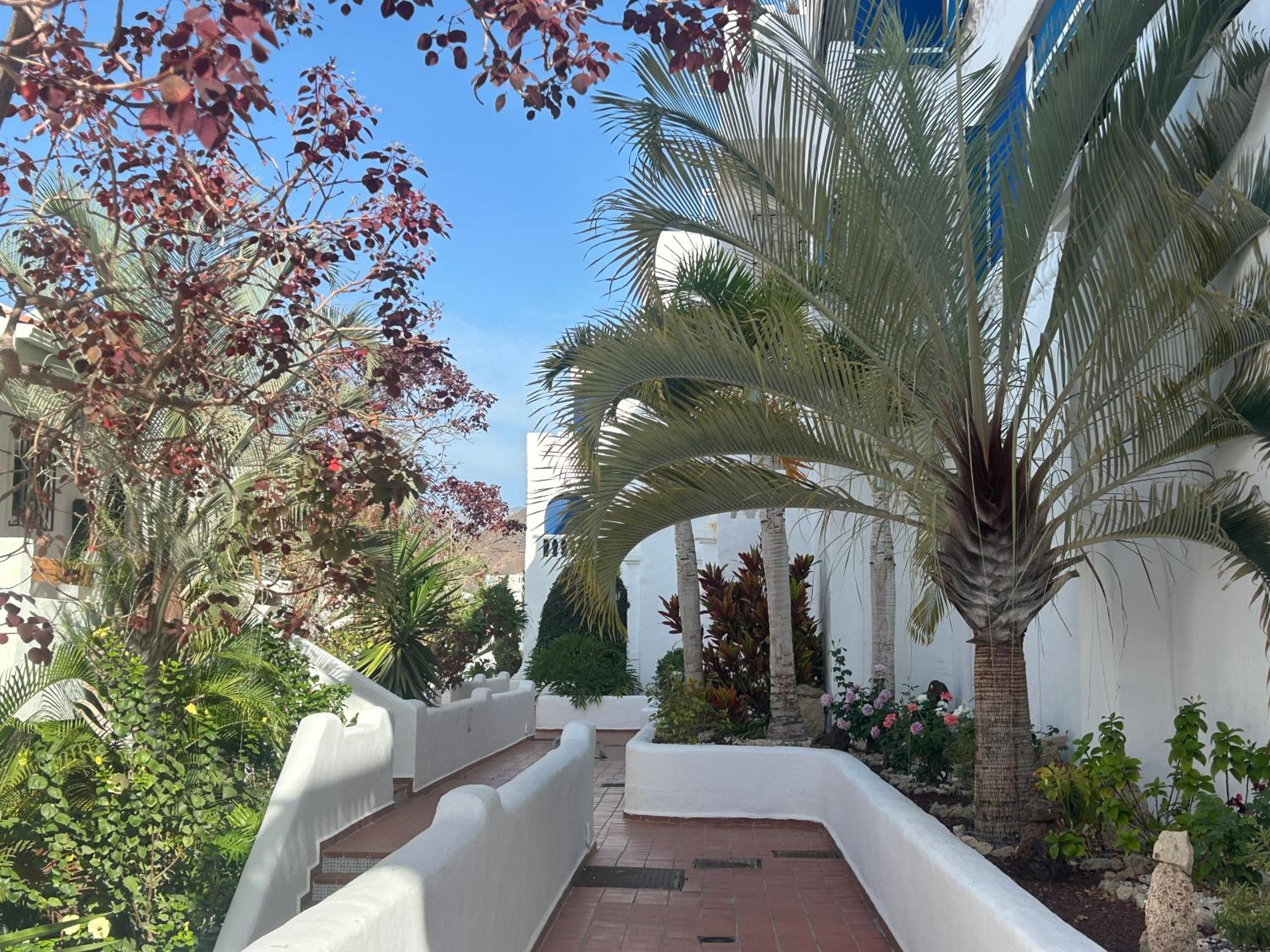 Los Cristianos Stay with Large Terrace & Heated Pool