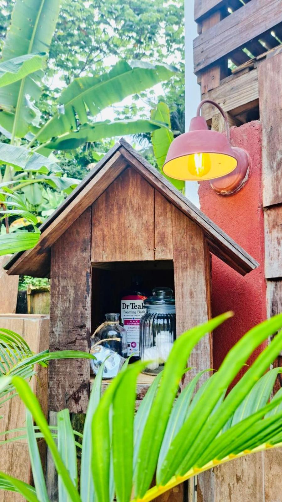 The Wooden House view 4