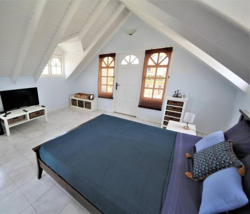 Palm Beach Cunucu villa