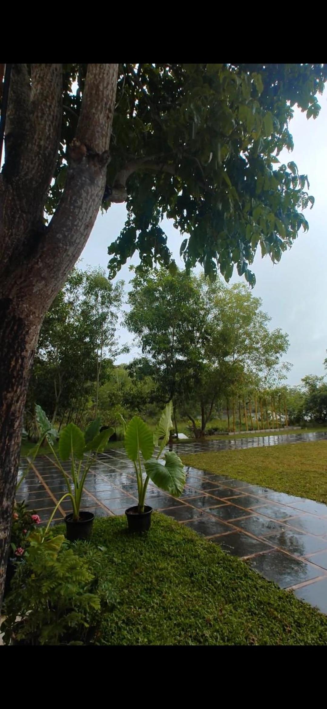 Pattaya Village