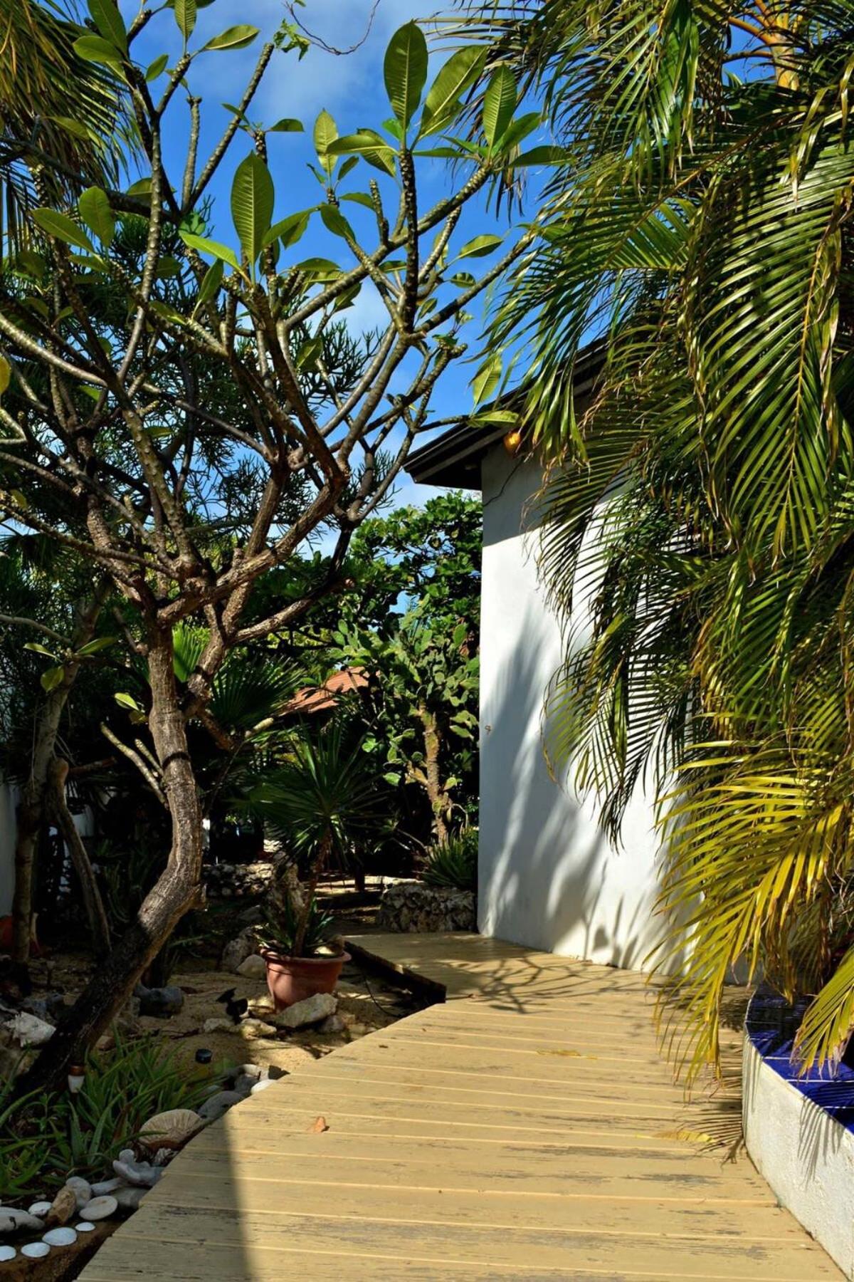 Parrot Villa - Stunning vacation home near Eagle Beach
