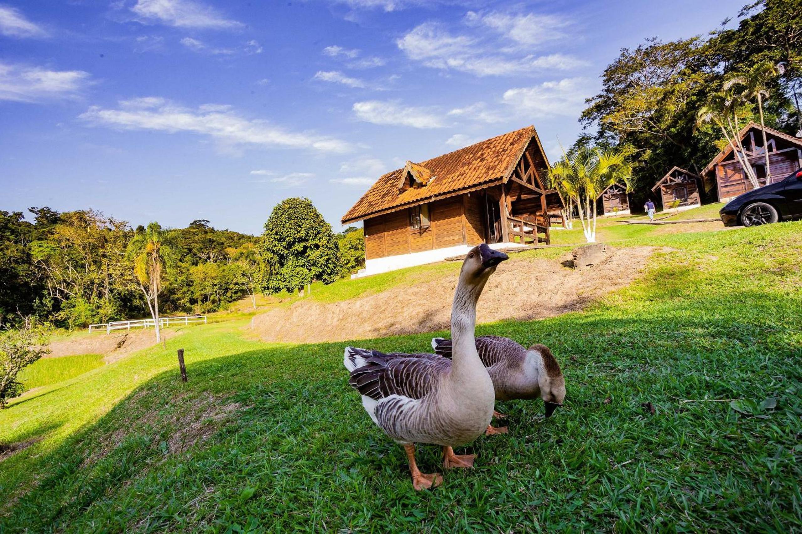 Recanto das Águas - Chalés no meio da Mata Atlântica