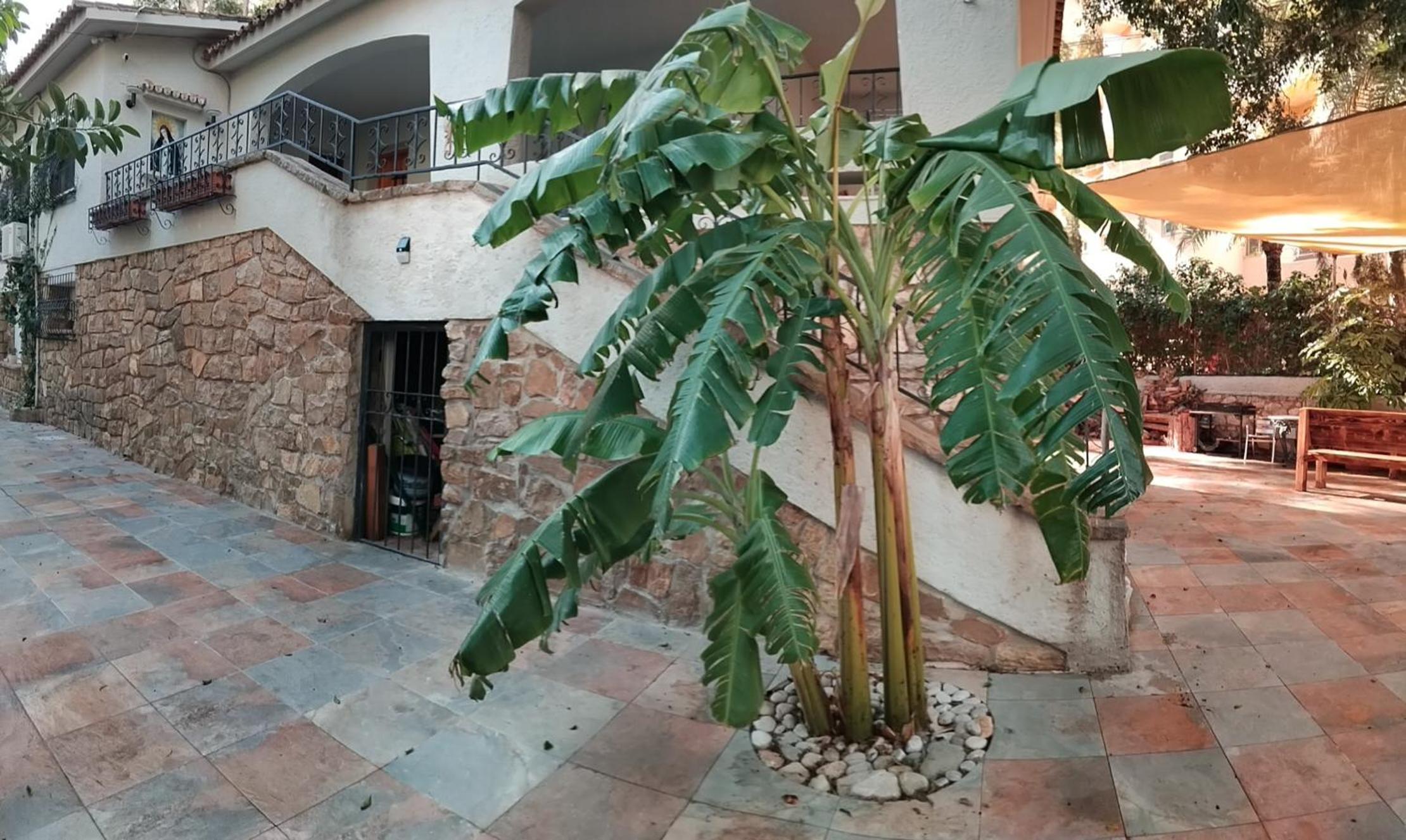 Casa en la naturaleza en Benidorm