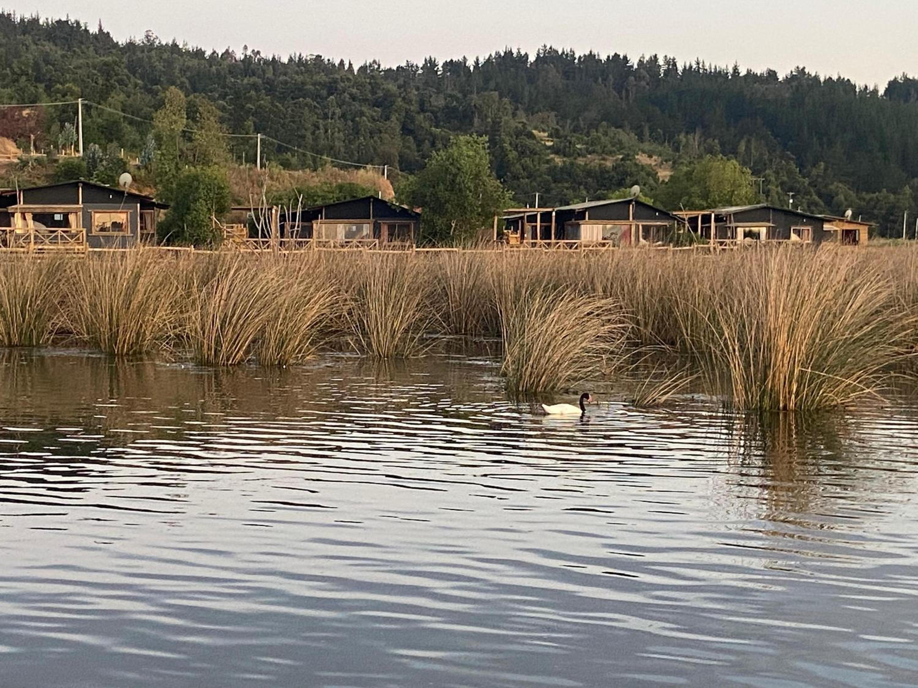 Vichuquen Lodge y Marina