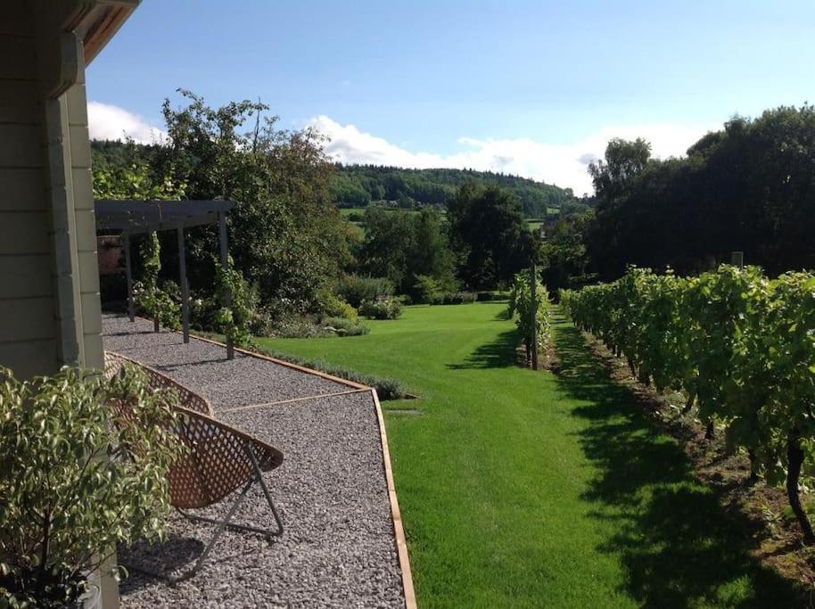 Vineyard lodge in Herefordshire