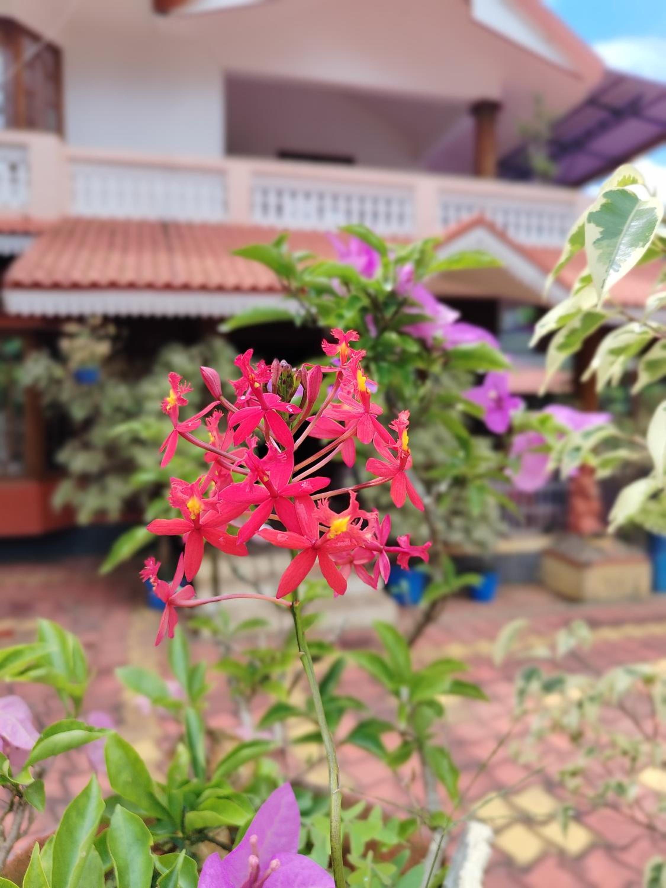 Shivalaya Homestay, Madikeri