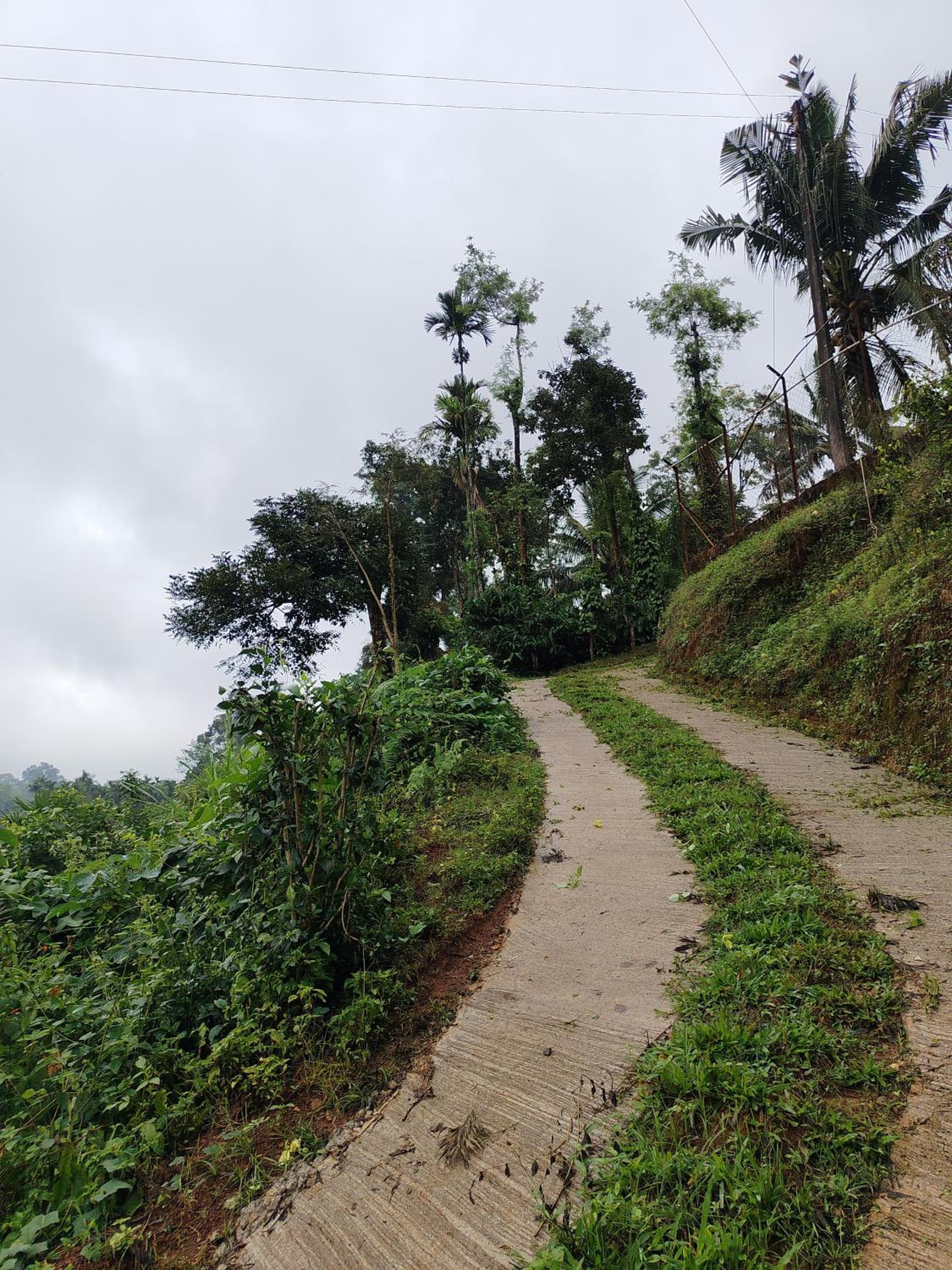 Shivalaya Homestay, Madikeri