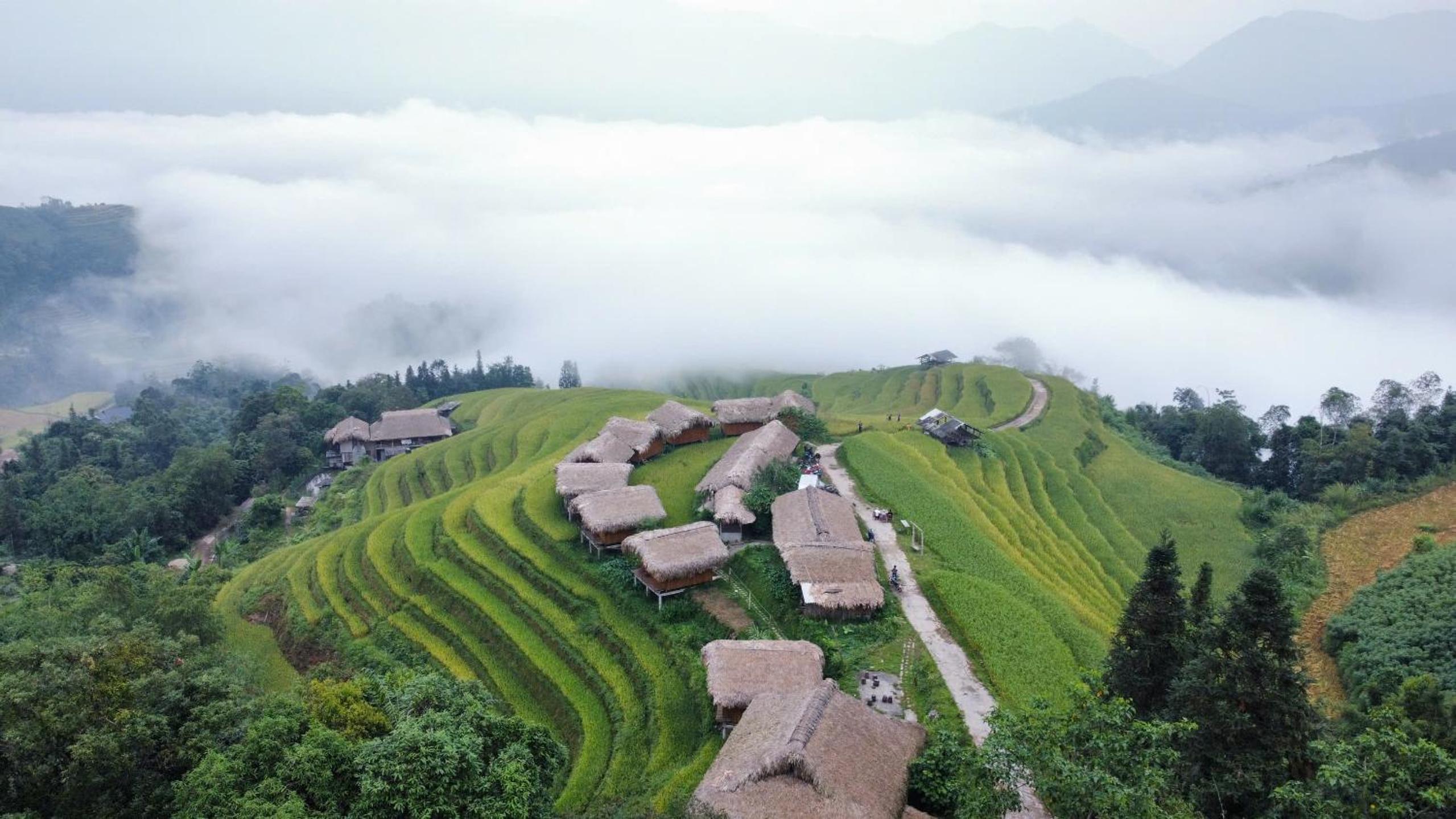 Bình Minh Homestay view 4