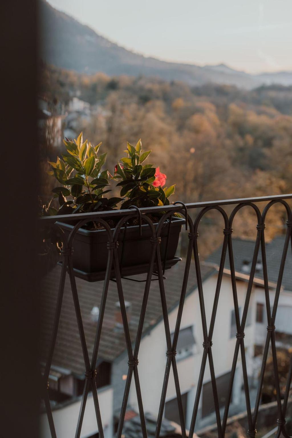 Guesthouse Giulietta e Romeo