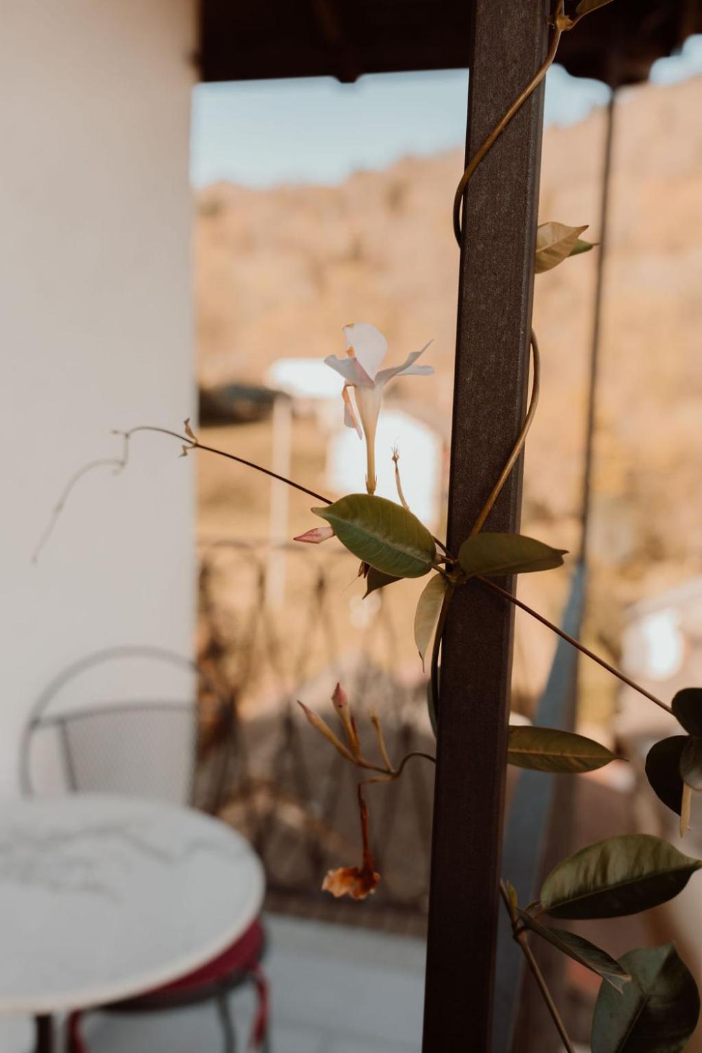 Guesthouse Giulietta e Romeo