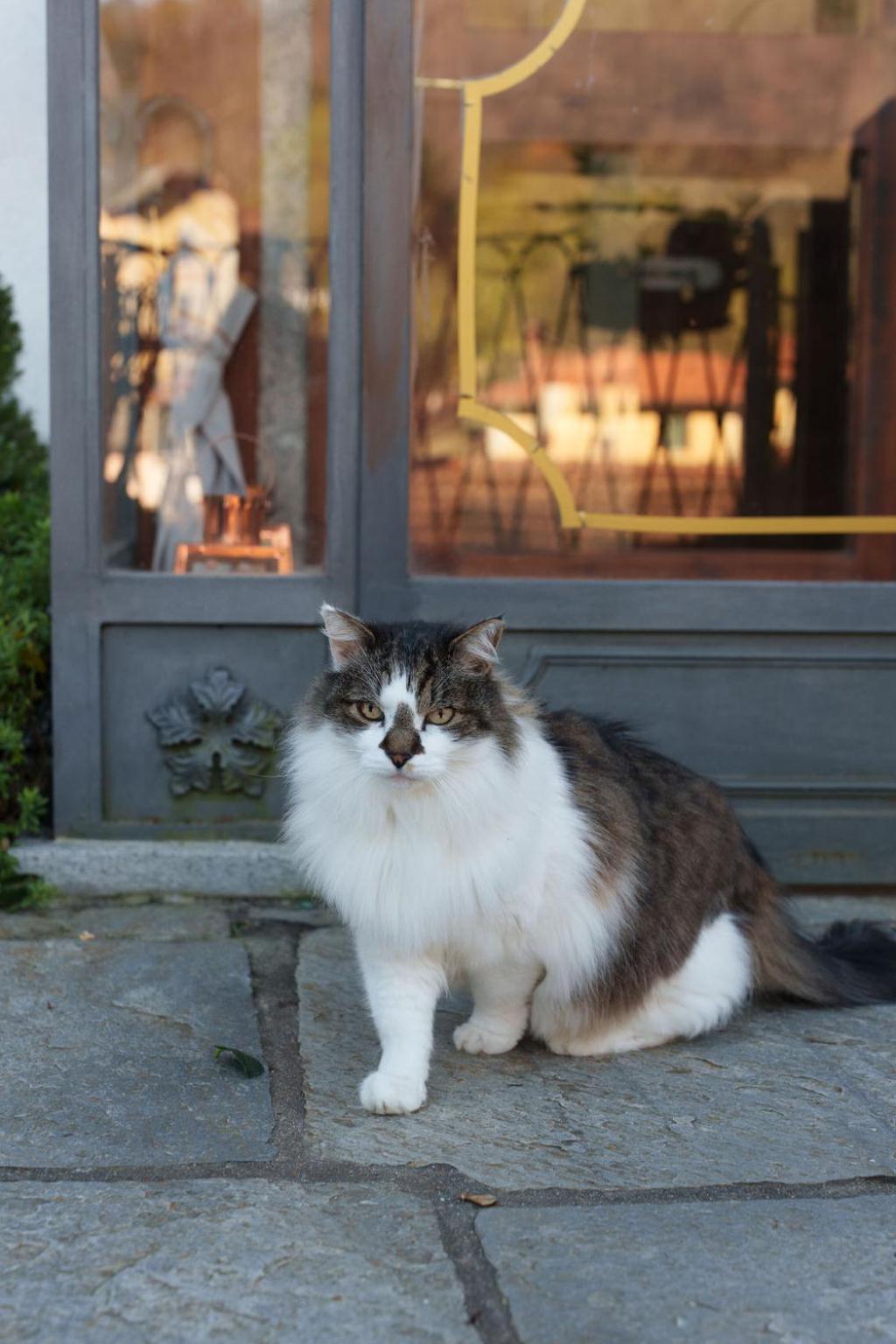Guesthouse Giulietta e Romeo
