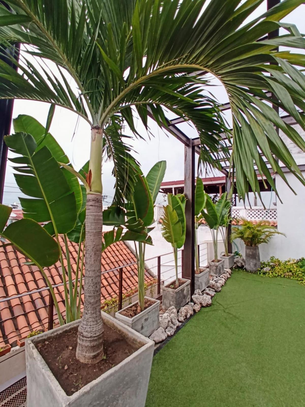 Habitación recién restaurada en Getsemaní