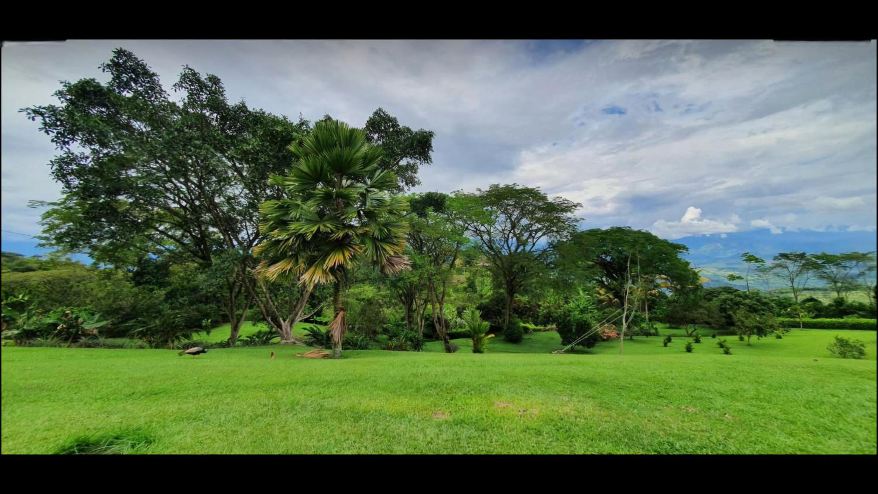 Finca el Campanario