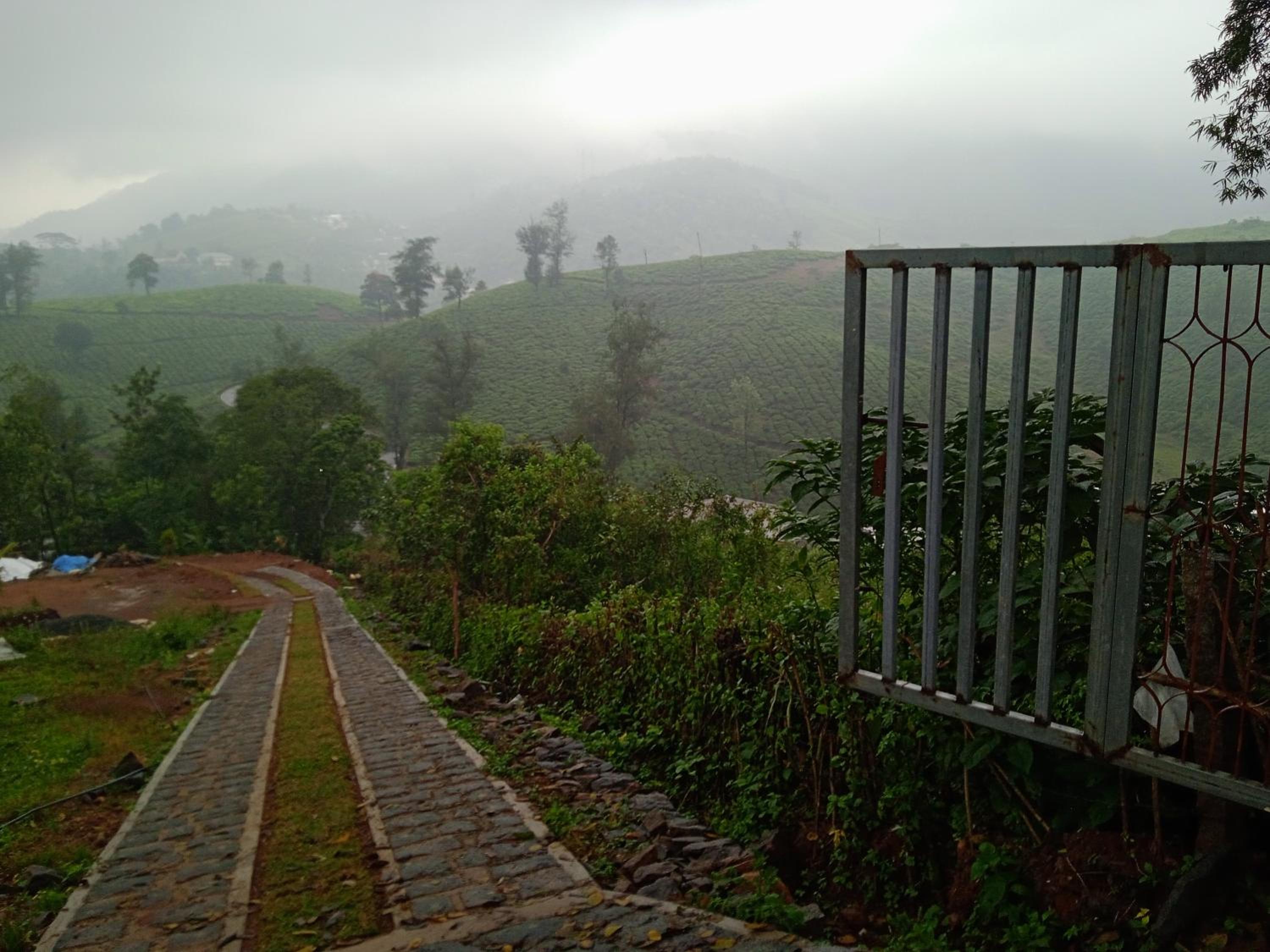Tea Haven homestay