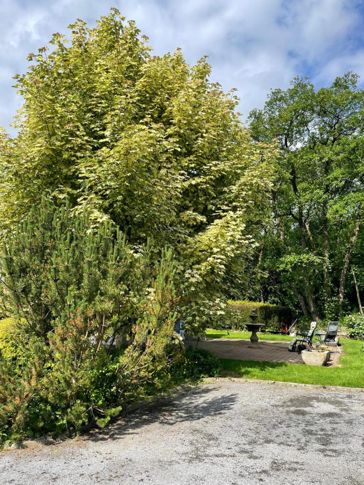 Woodland Cottage