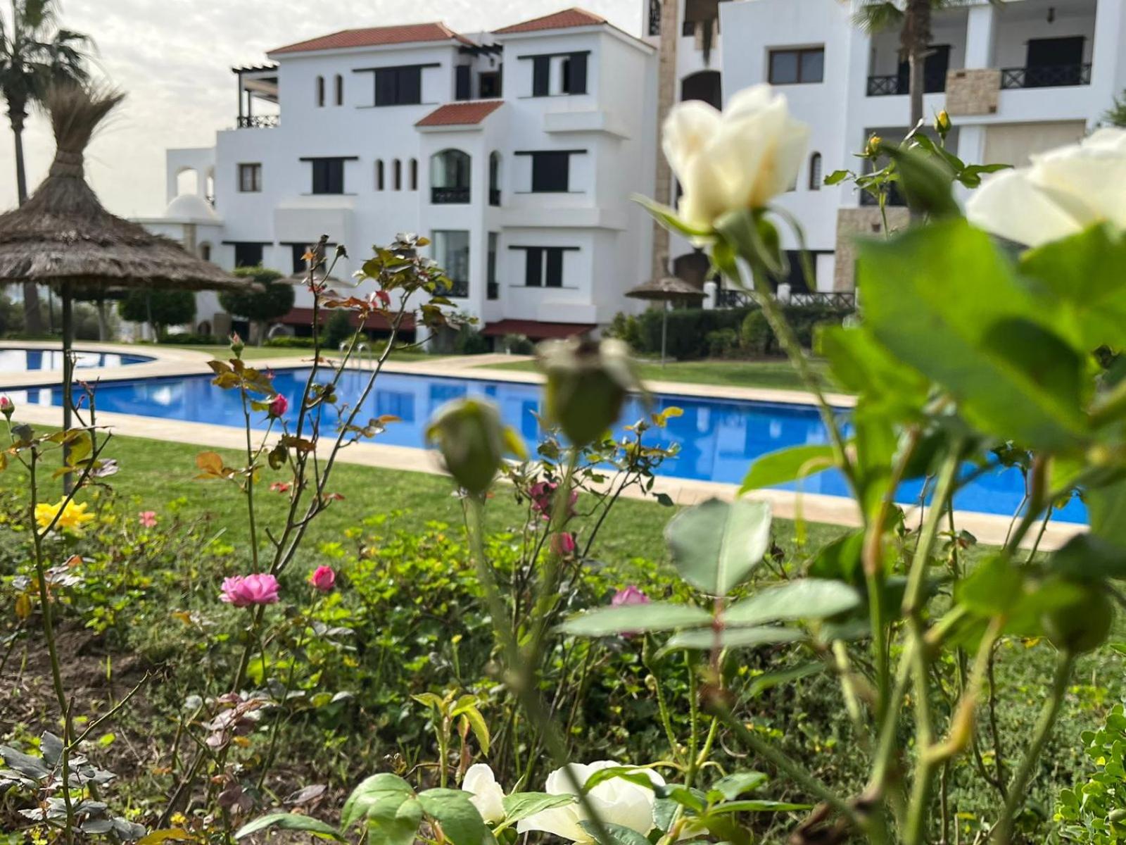 Hotel Lilacs Garden Vue Piscine