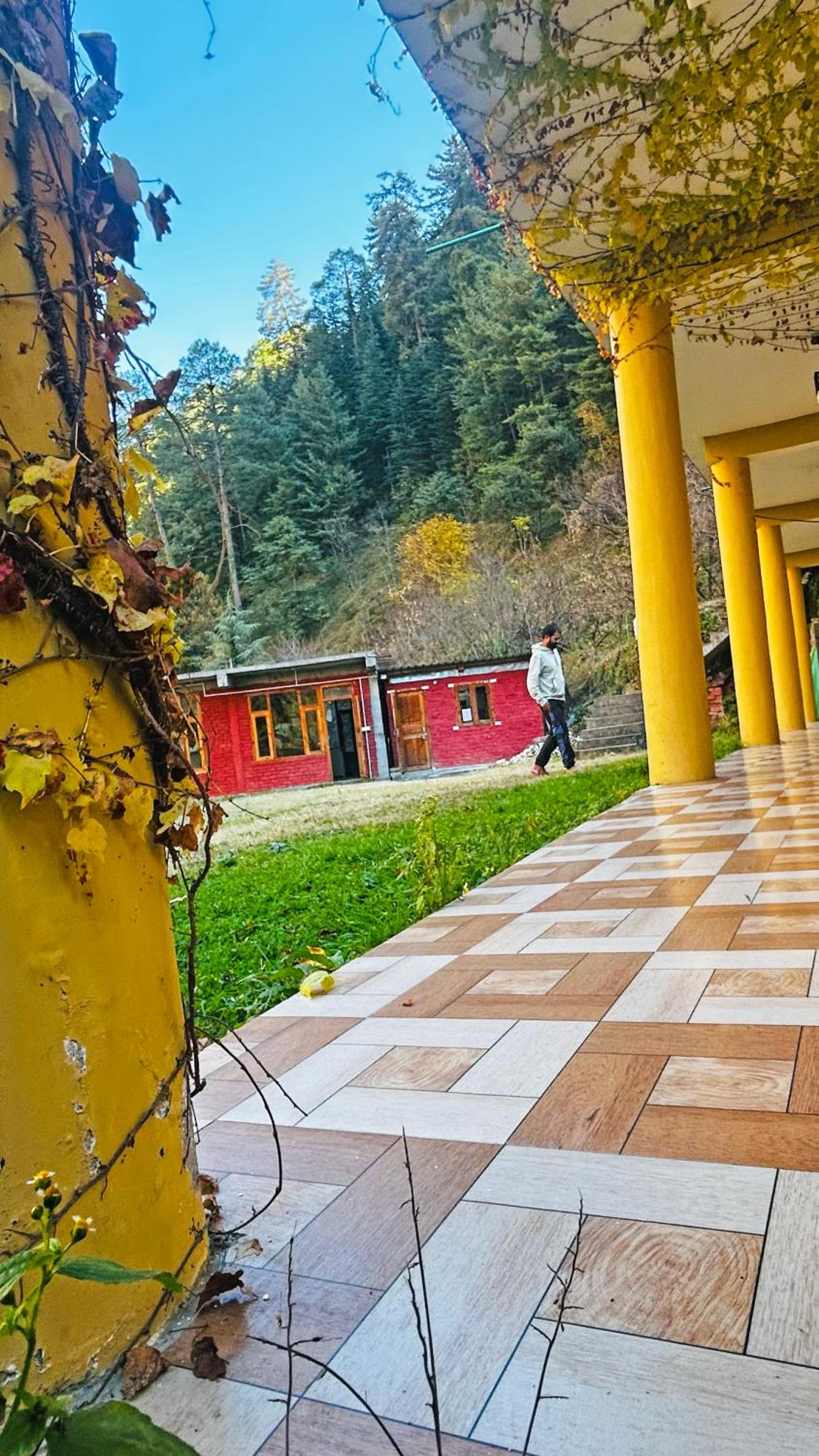 WoodRose Ecostay - Tirthan Valley