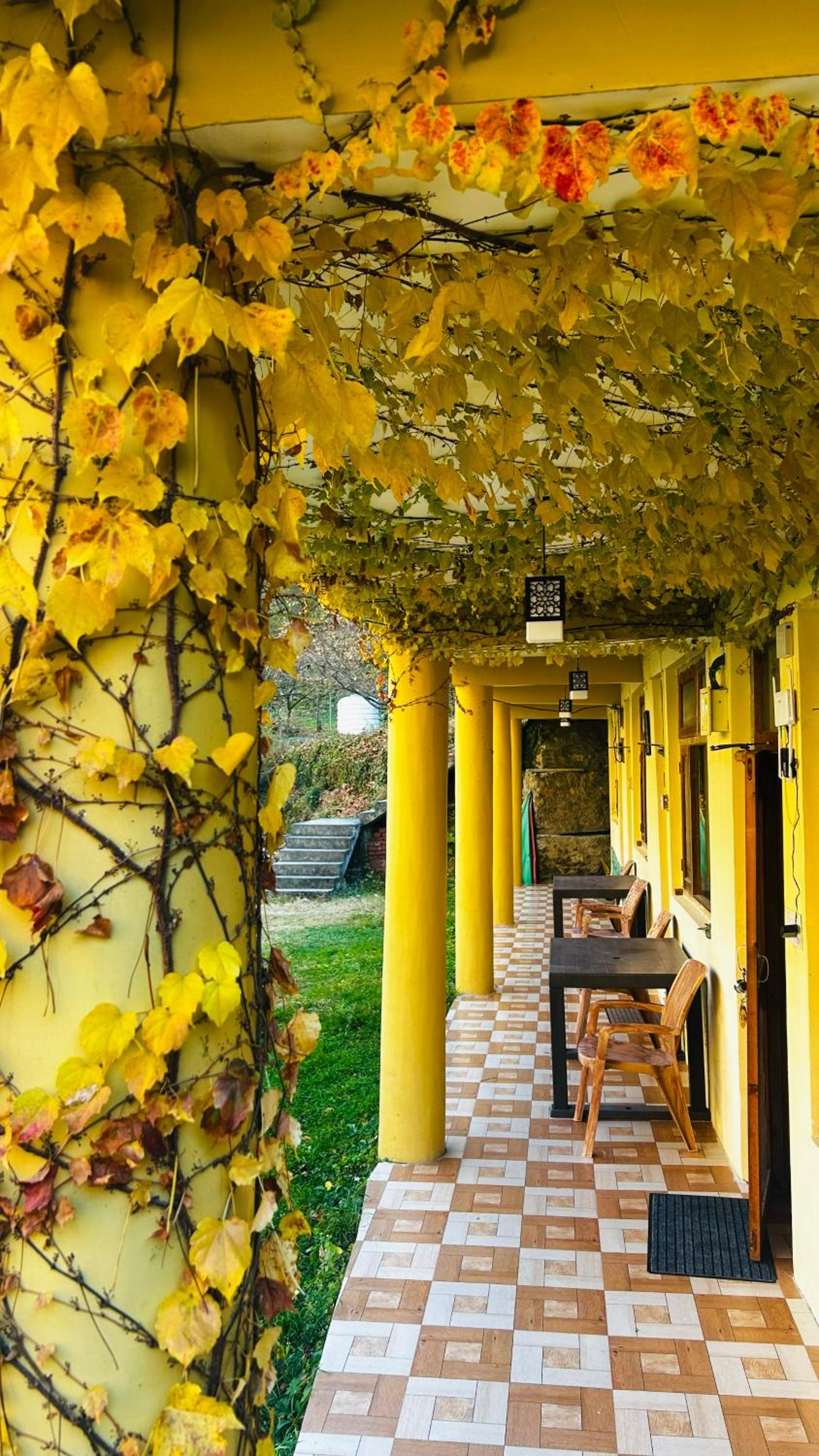 WoodRose Ecostay - Tirthan Valley