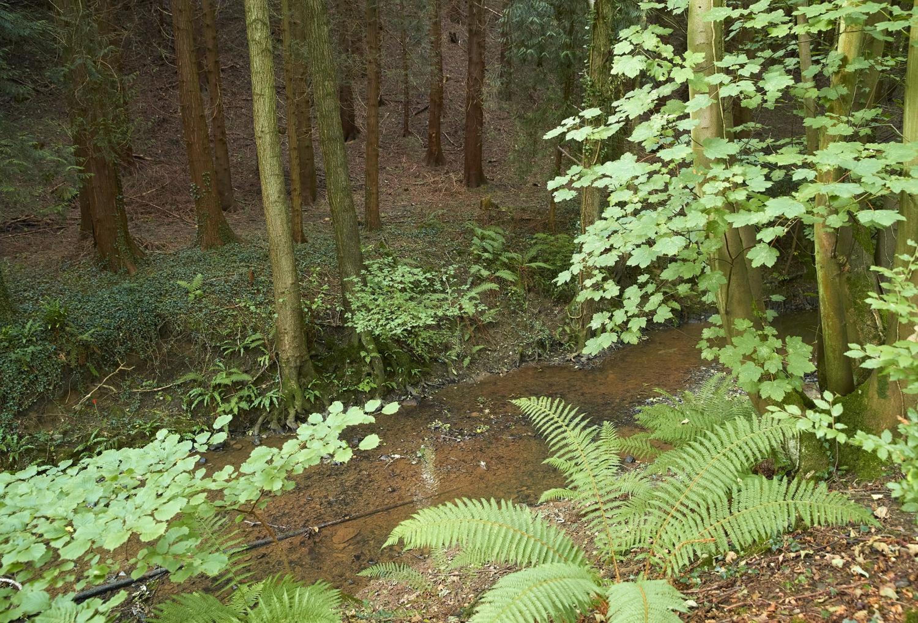 Photo 22