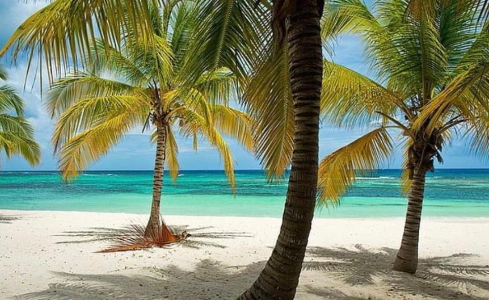 Luxury Penthouse DGM Resort at Boca del mar III, Boca Chica view 2