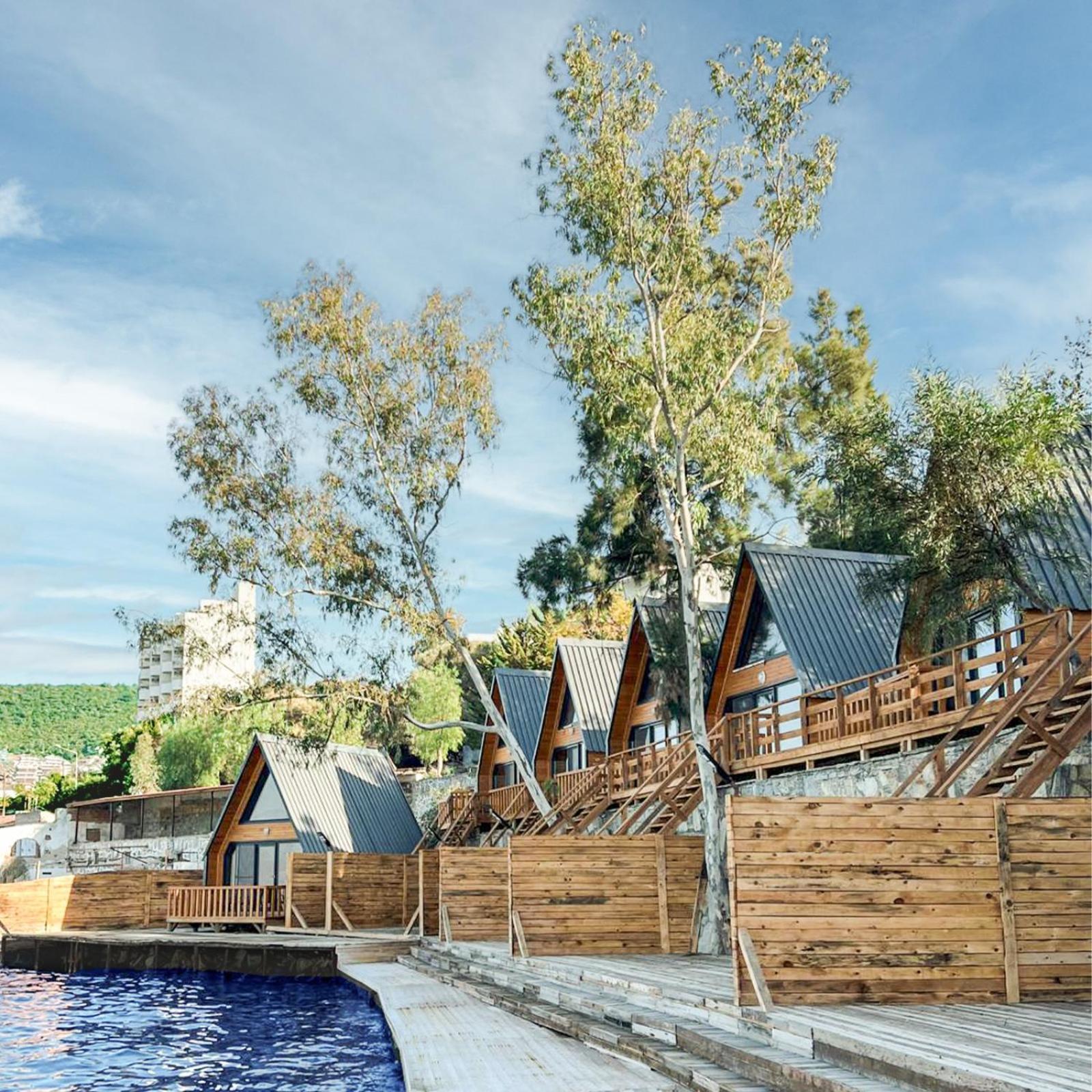 Roseira Bungalov