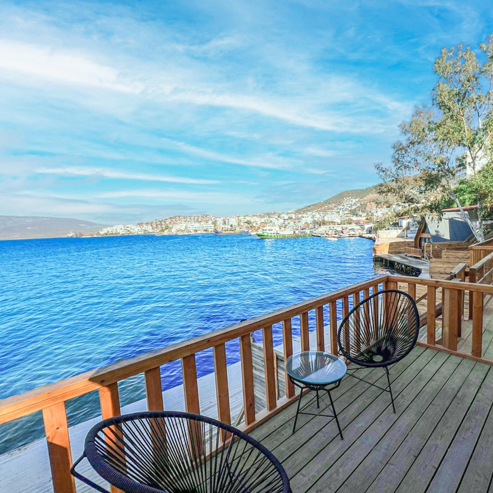 Roseira Bungalov